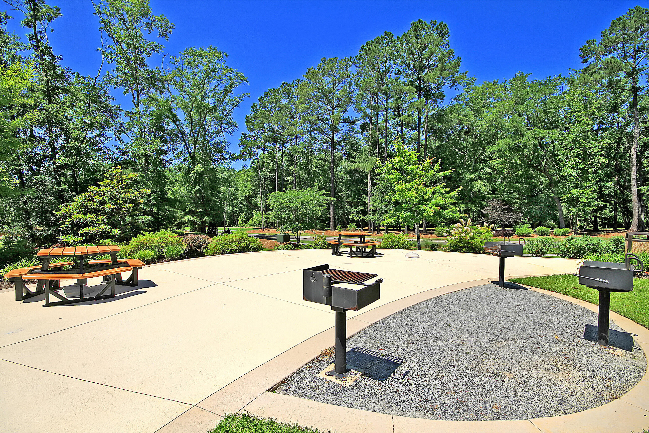 9831 Black Tupelo Lane