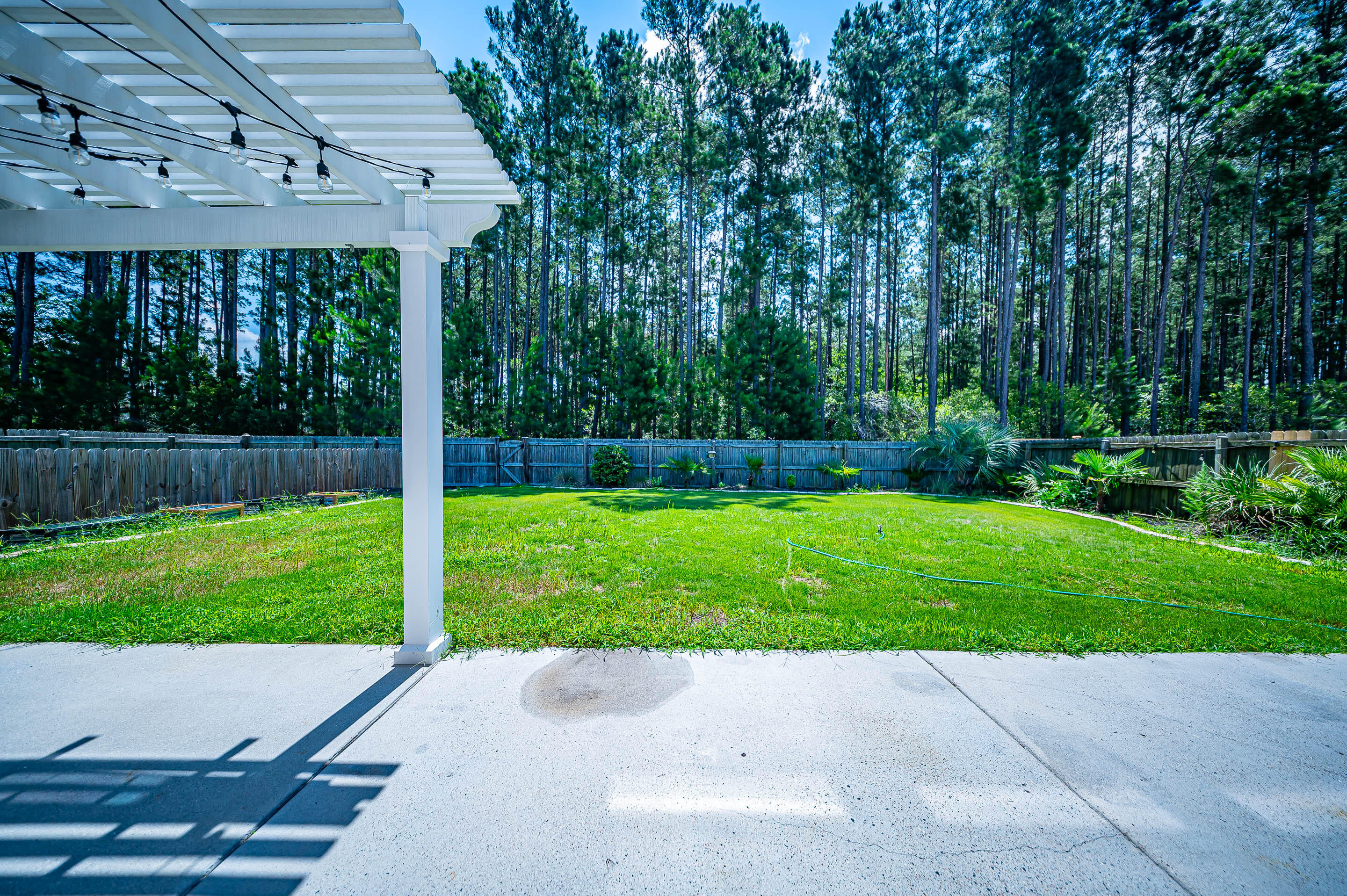 204 Buttercup Lane