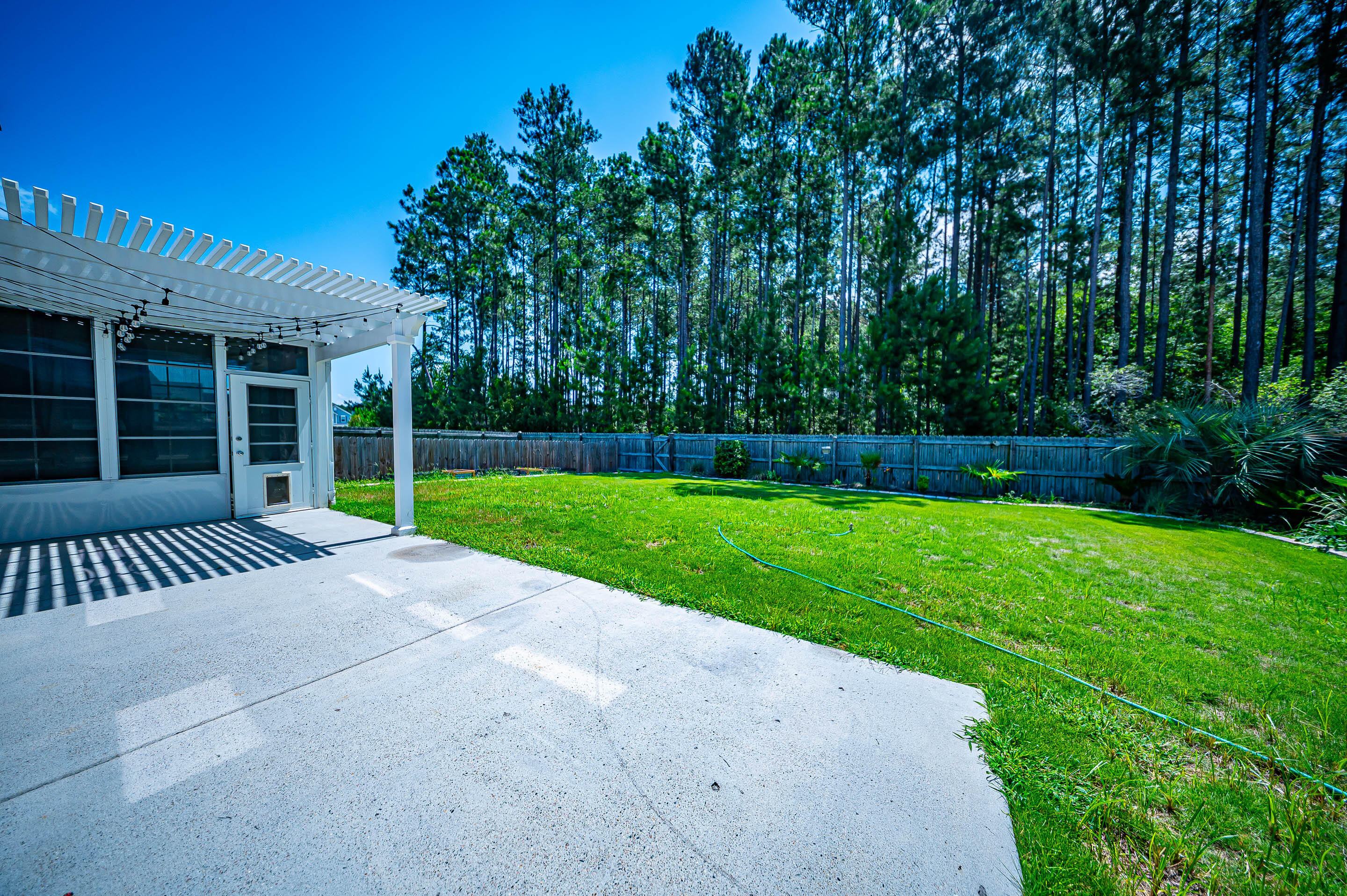 204 Buttercup Lane