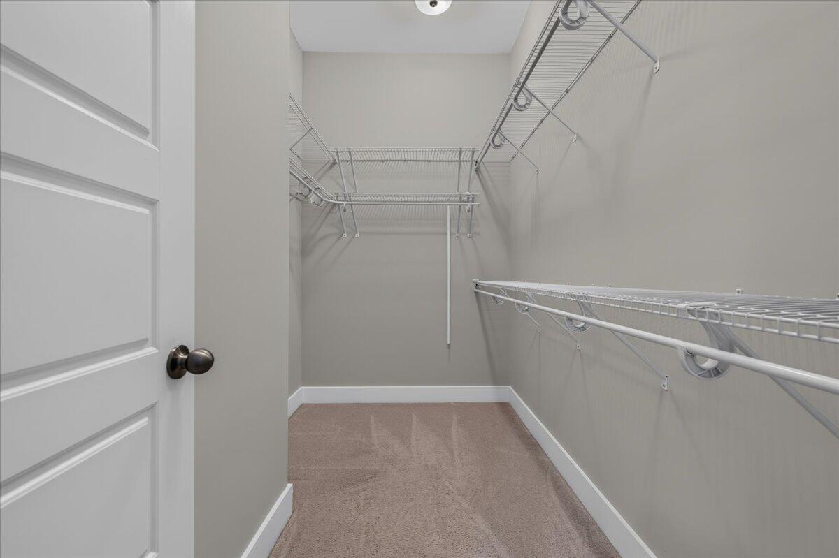 428 Watergrass Way