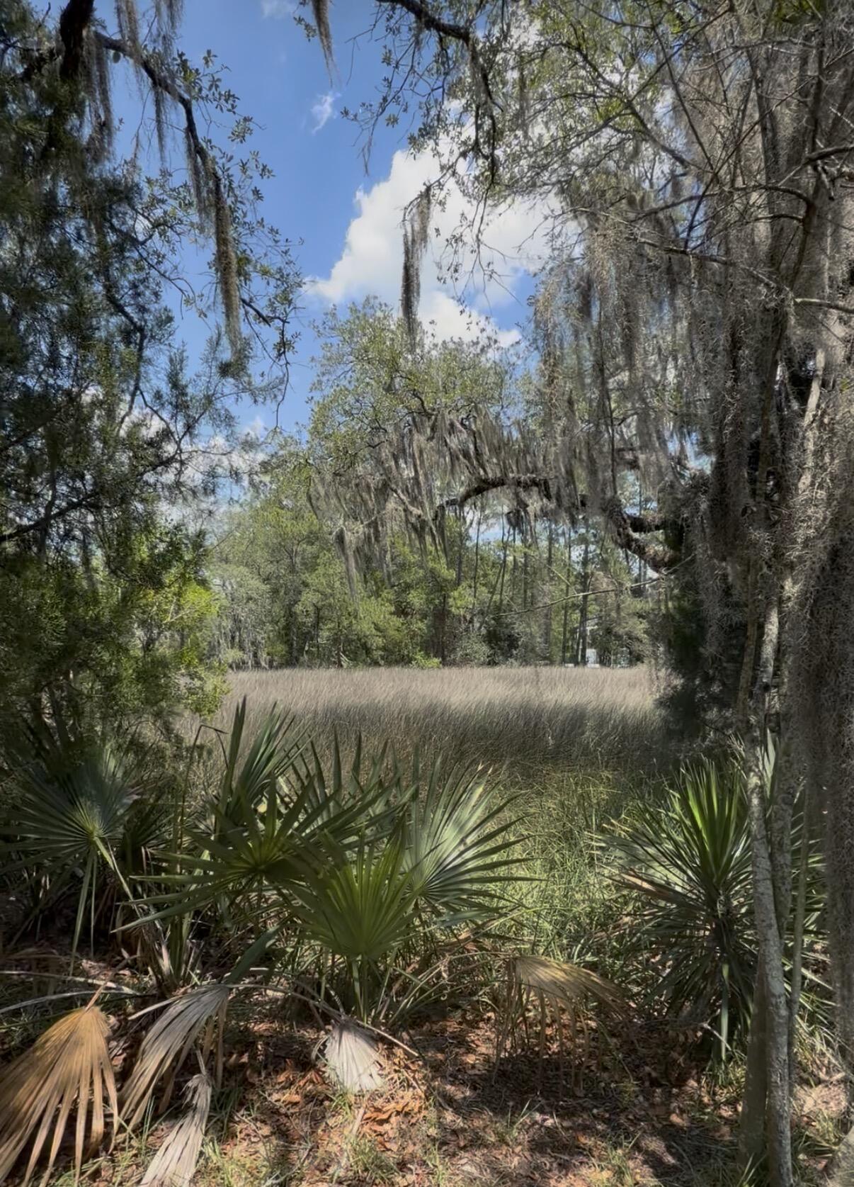 93 Ashley Hall Plantation Road # 7