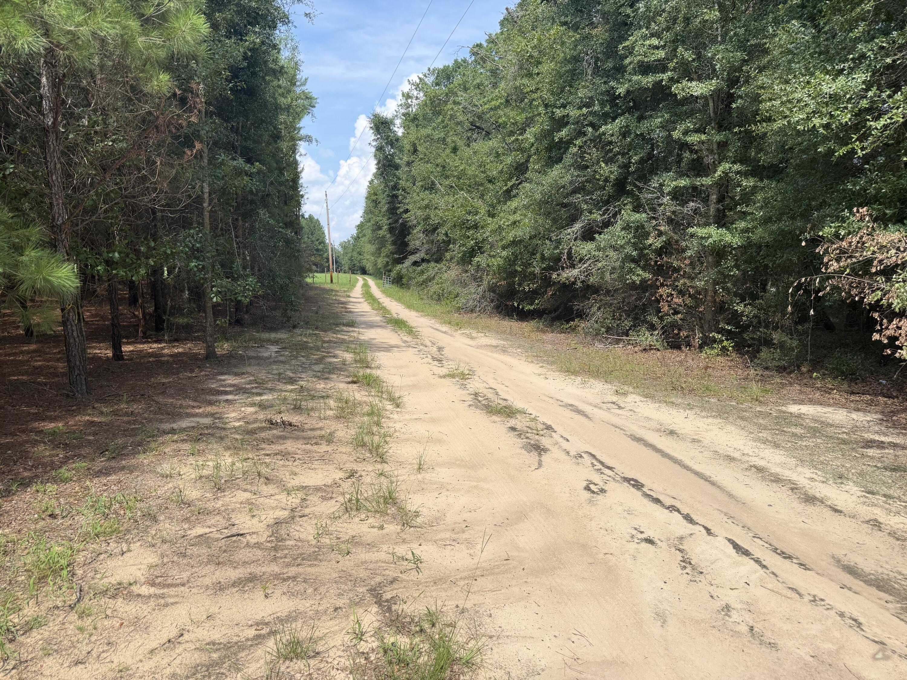 187 Tiny Lane