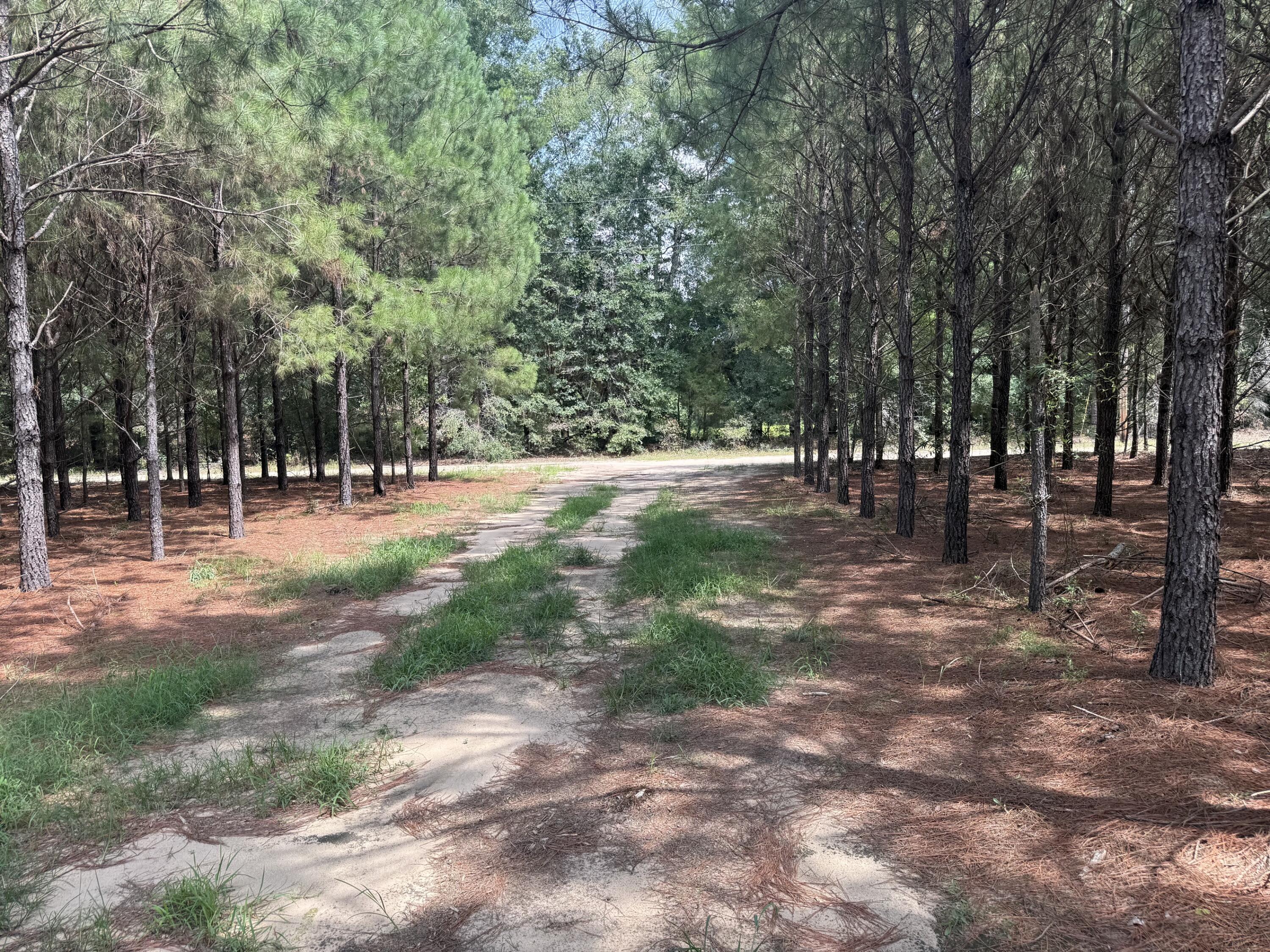 187 Tiny Lane