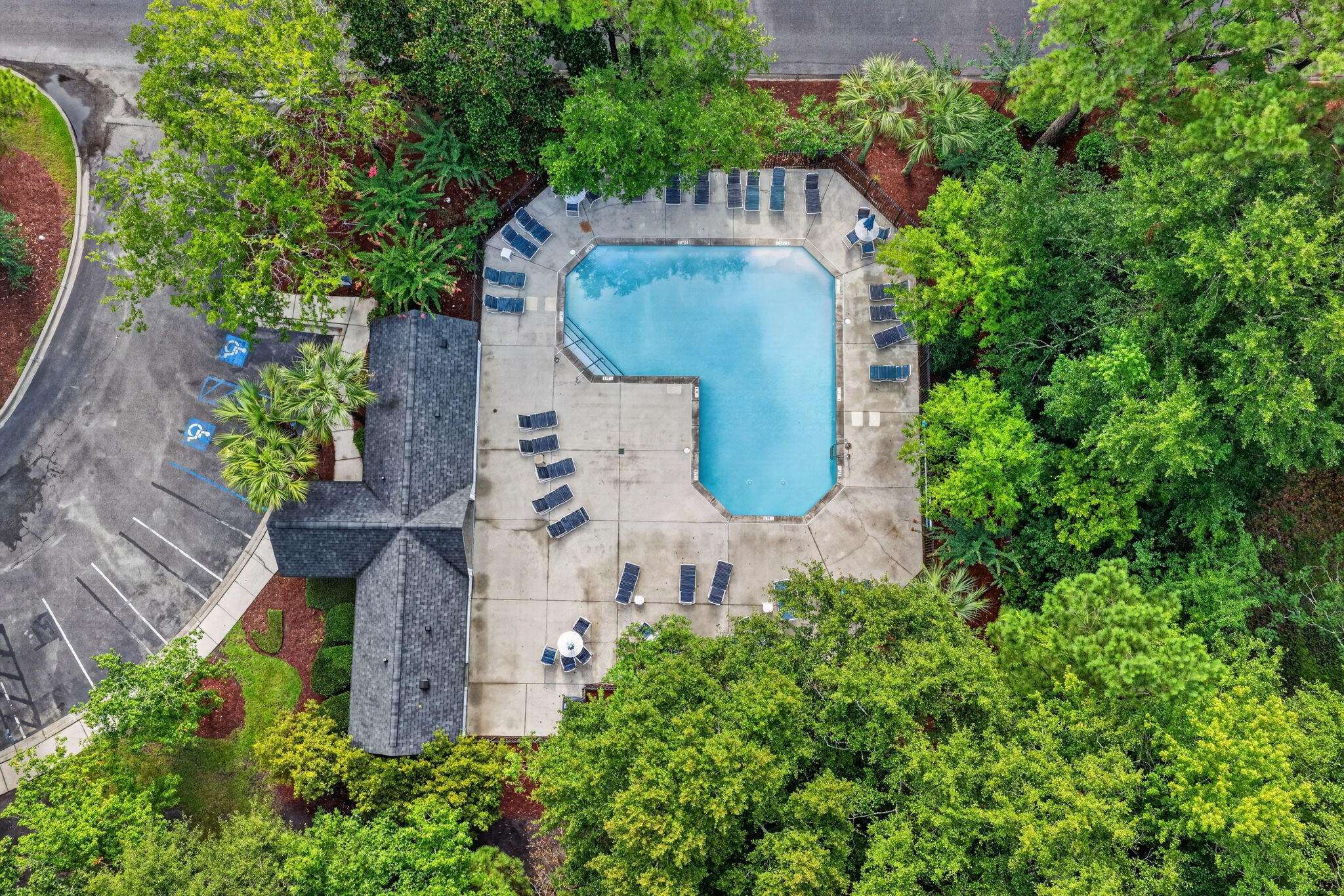303 Tree Branch Circle