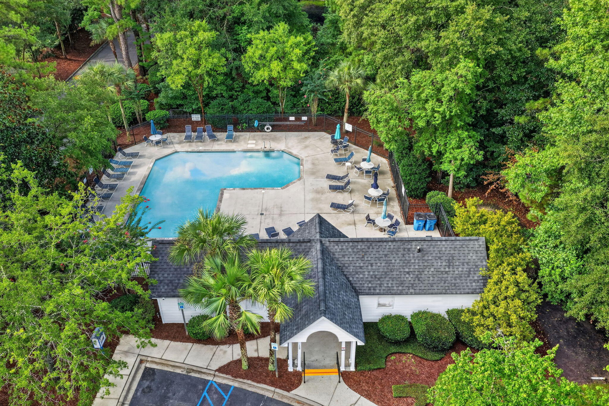 303 Tree Branch Circle