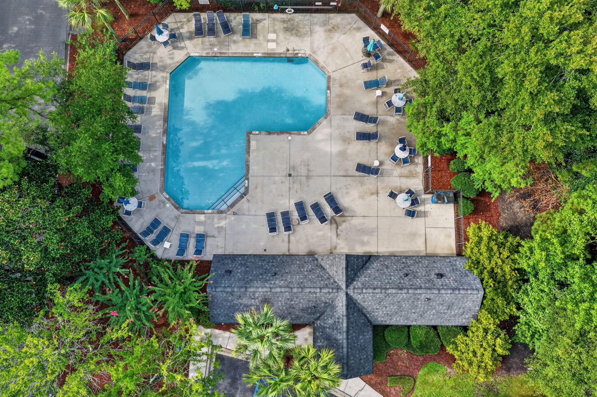 303 Tree Branch Circle