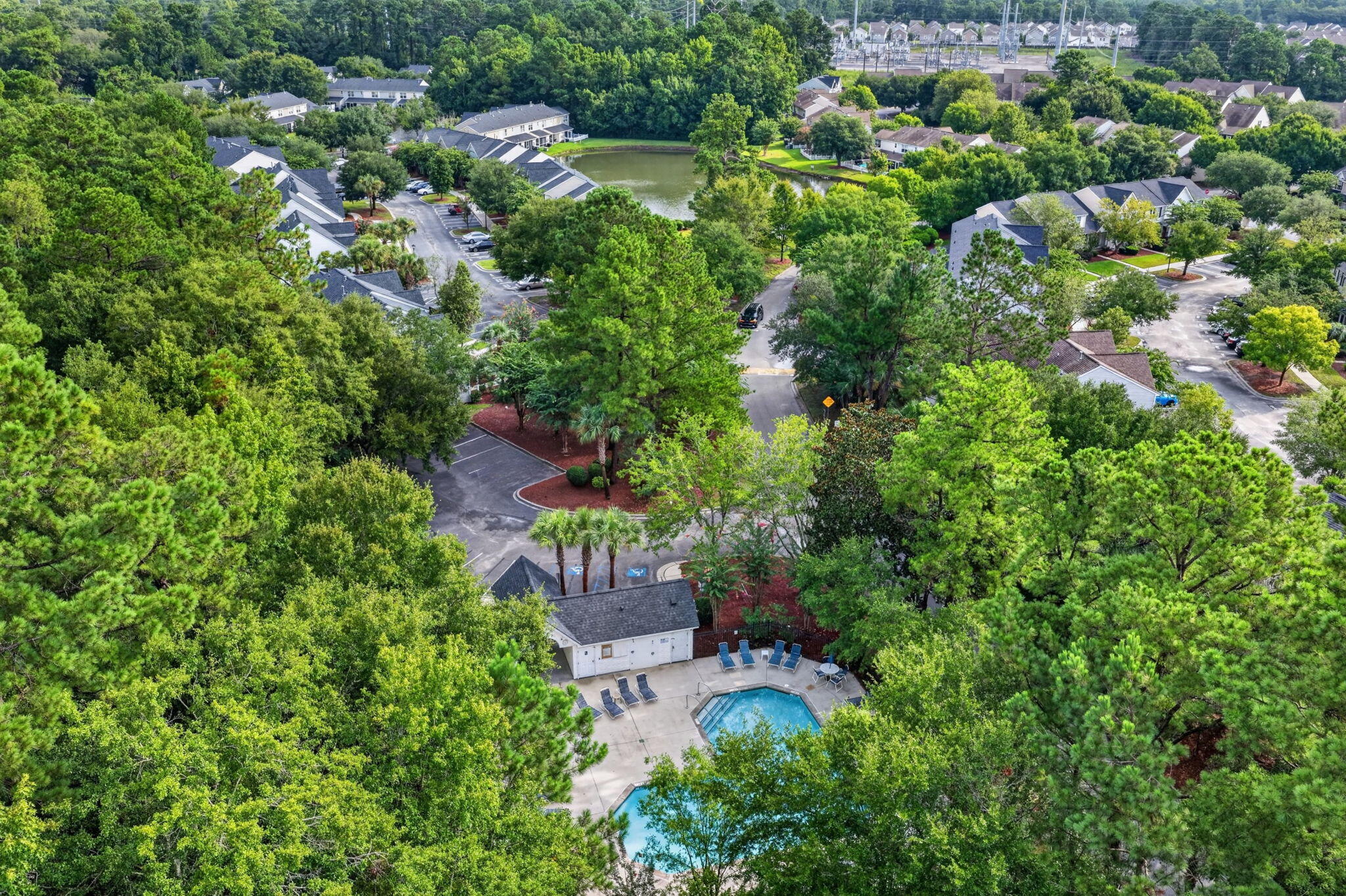 303 Tree Branch Circle