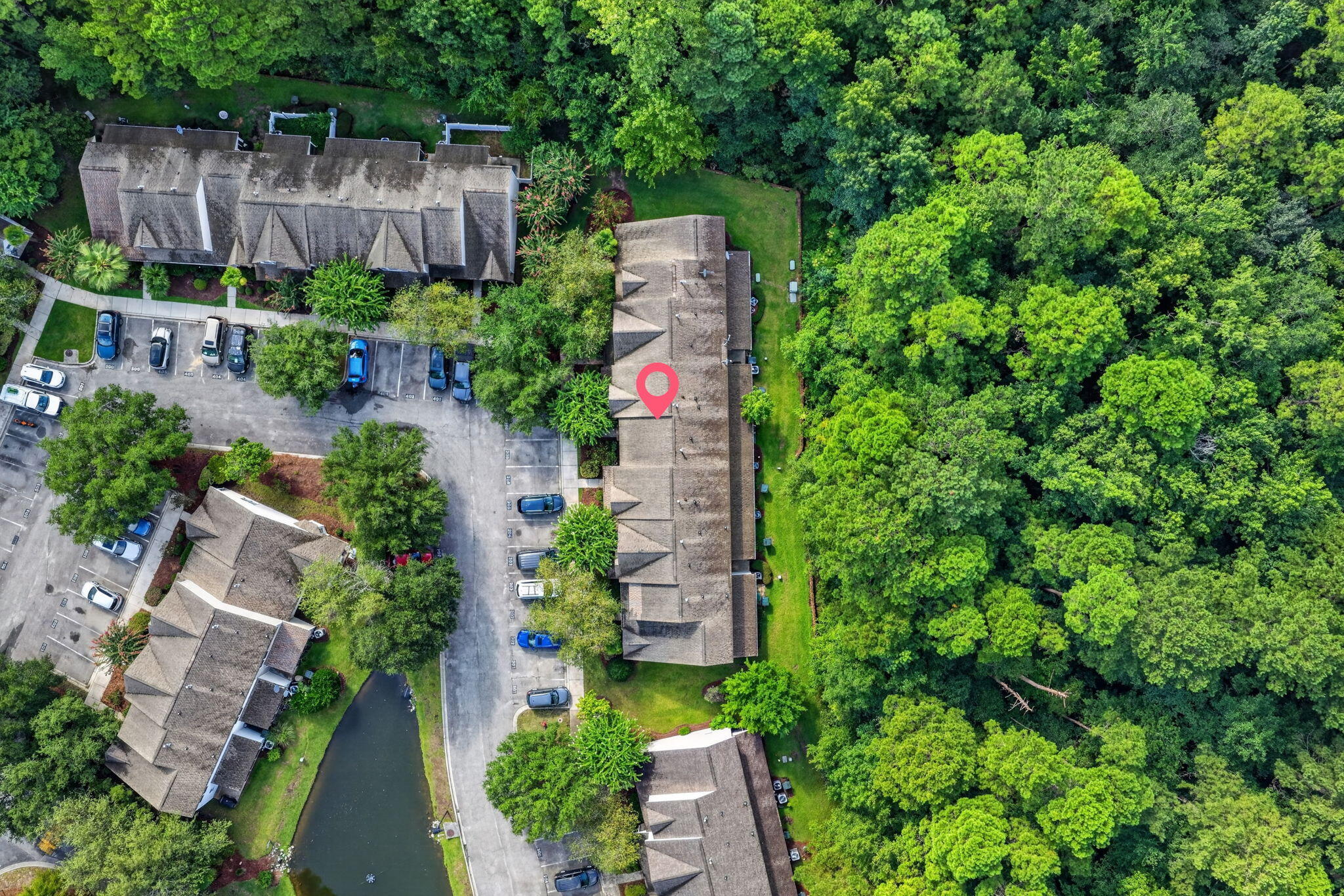 303 Tree Branch Circle