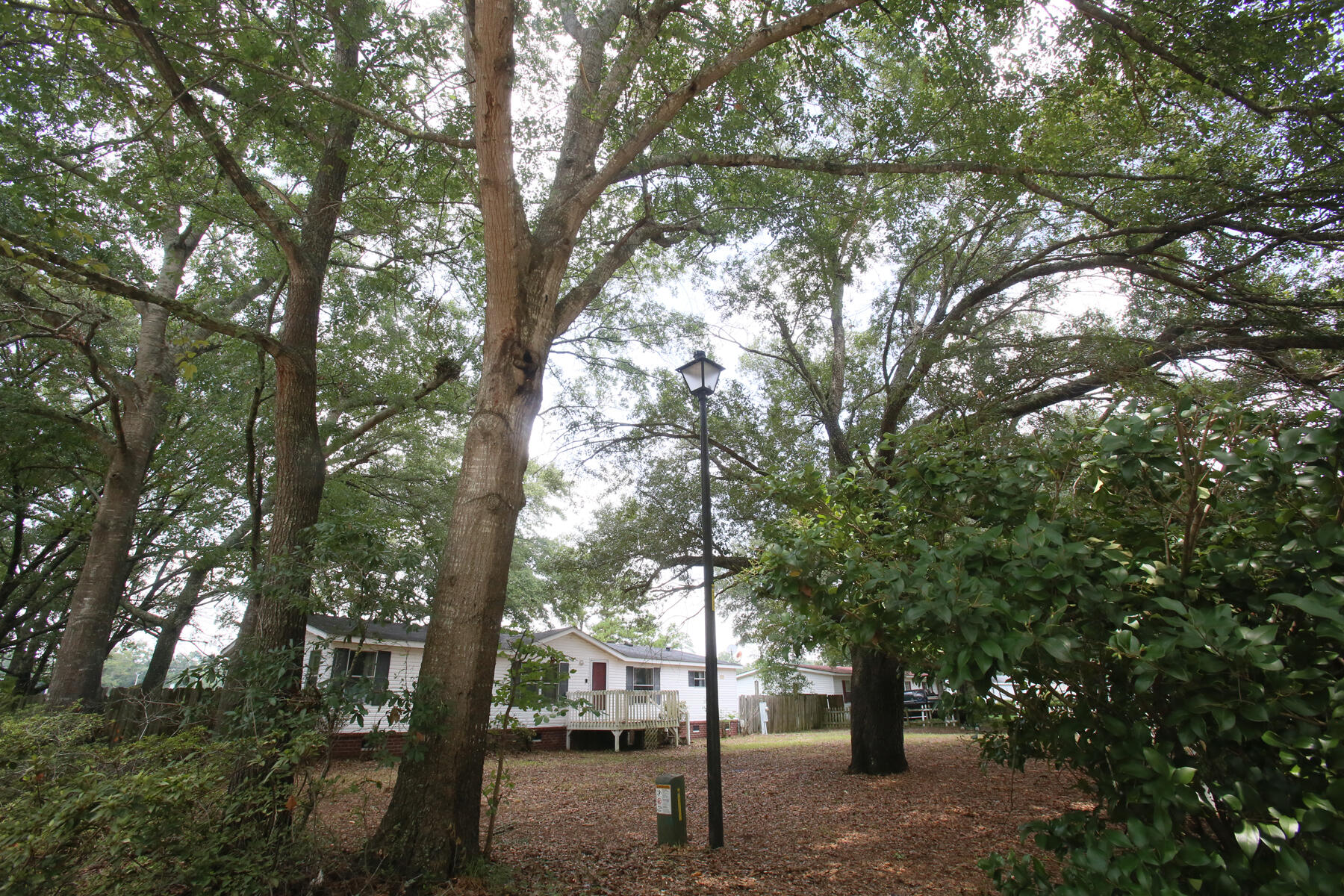 206 W Poplar Branch Drive
