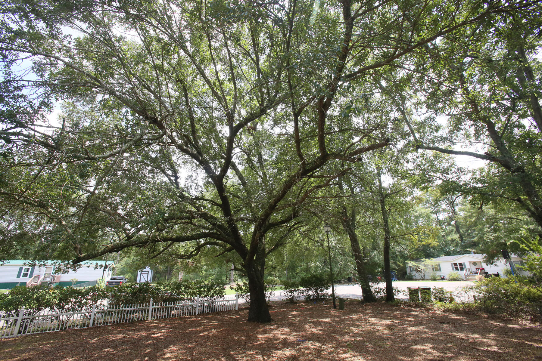 206 W Poplar Branch Drive