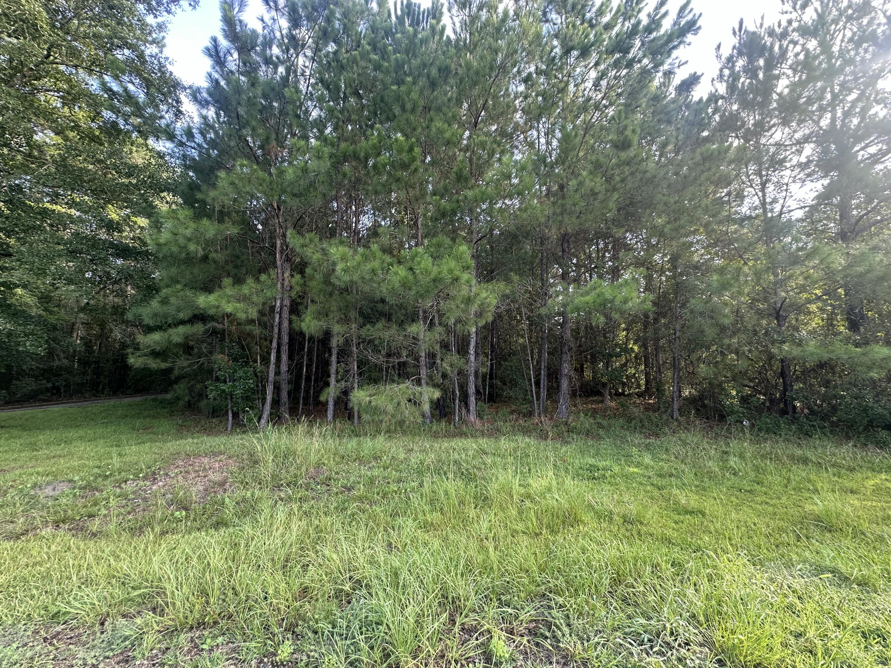 108 Blanchard Lane
