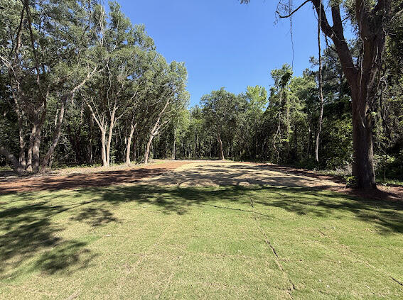 545 Society Road, McClellanville