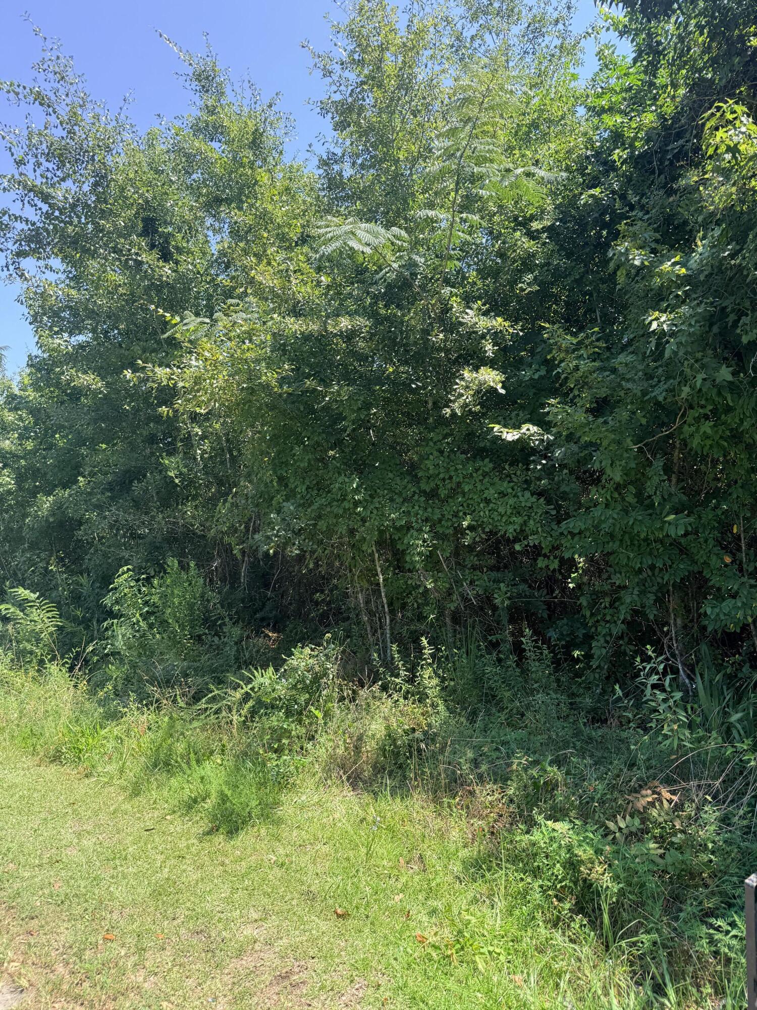 00 Society Road, McClellanville