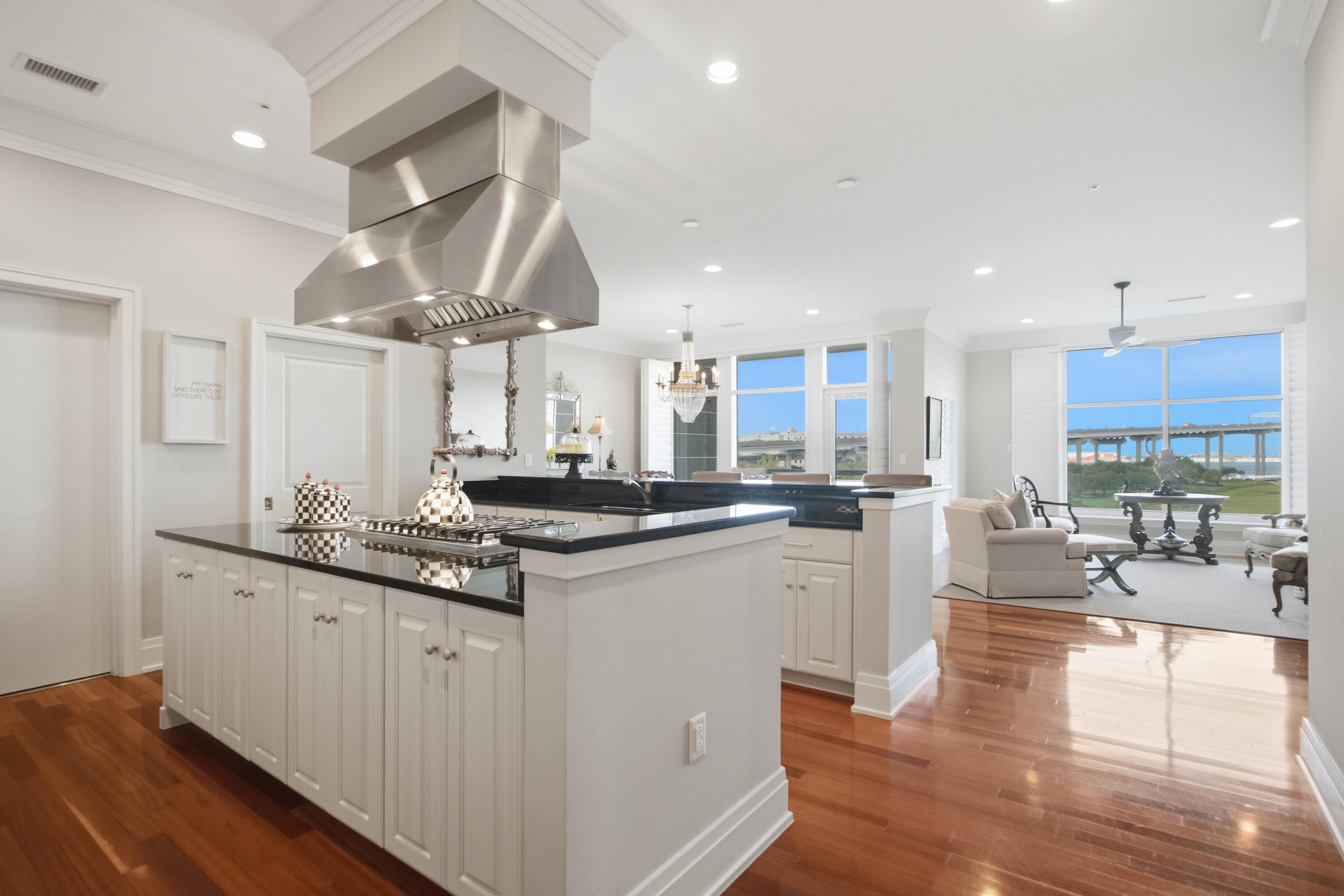 242 Cooper River Drive