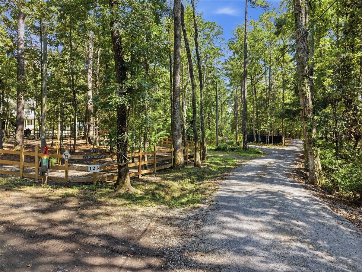 123 Sand Dollar Lane