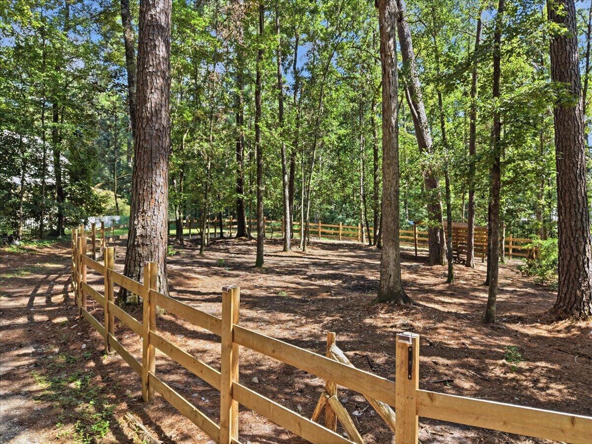 123 Sand Dollar Lane