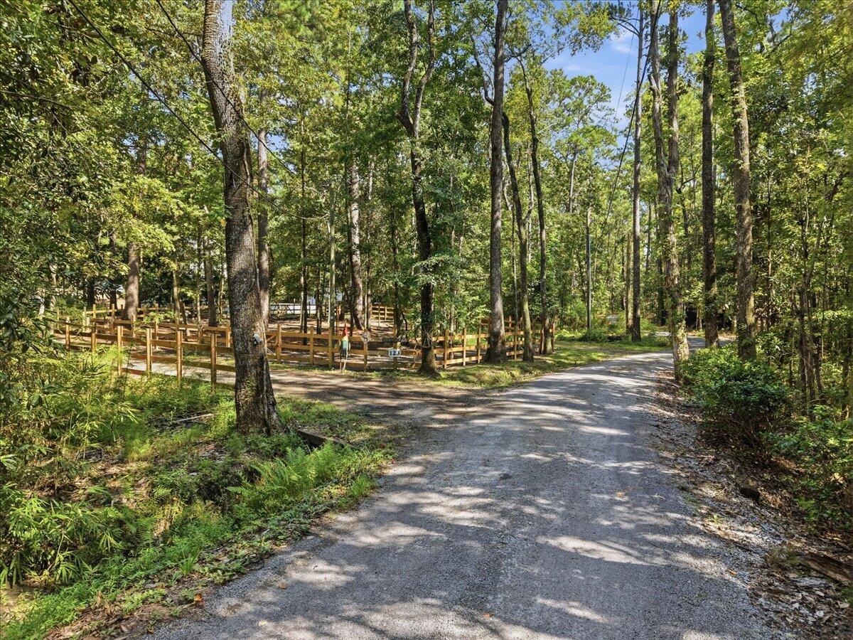 123 Sand Dollar Lane