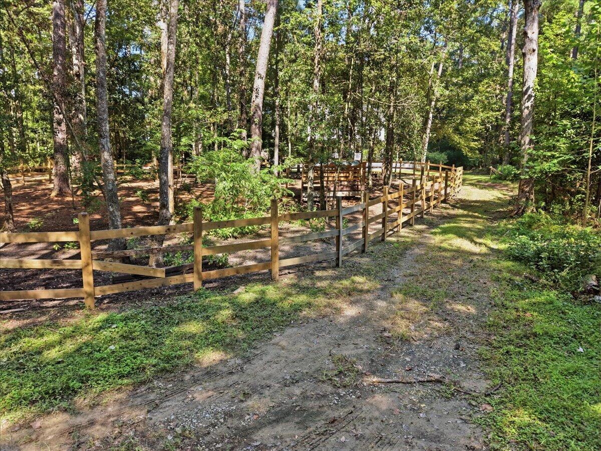 123 Sand Dollar Lane