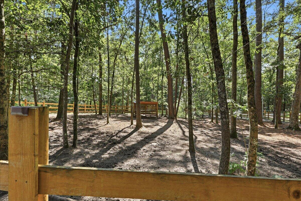 123 Sand Dollar Lane