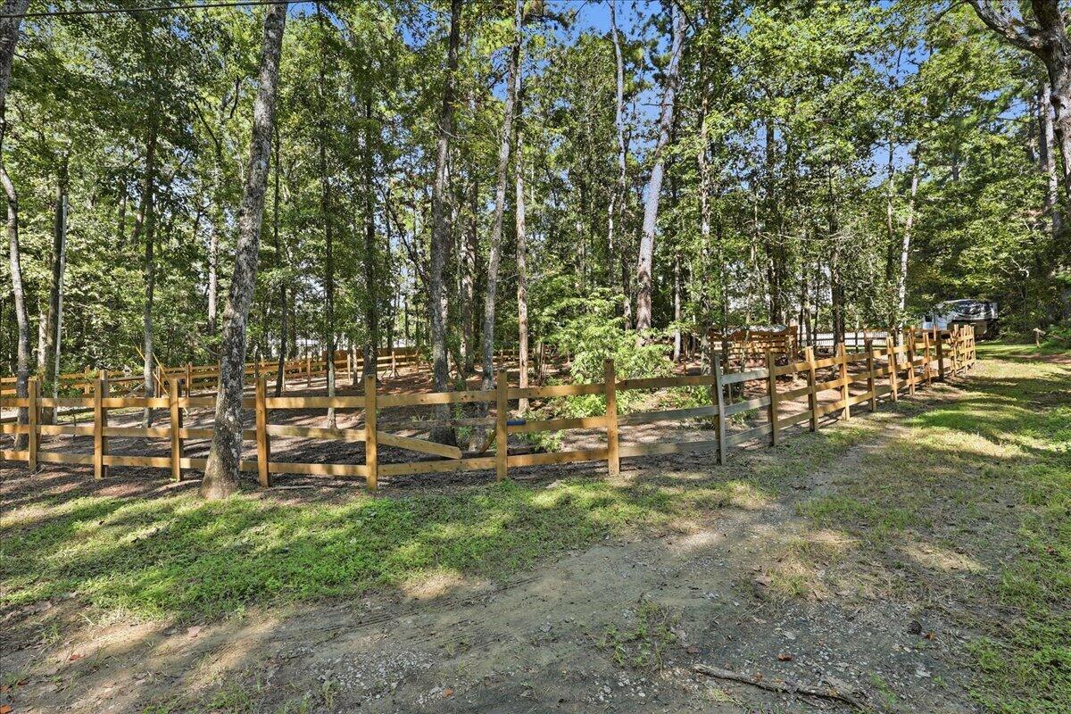 123 Sand Dollar Lane