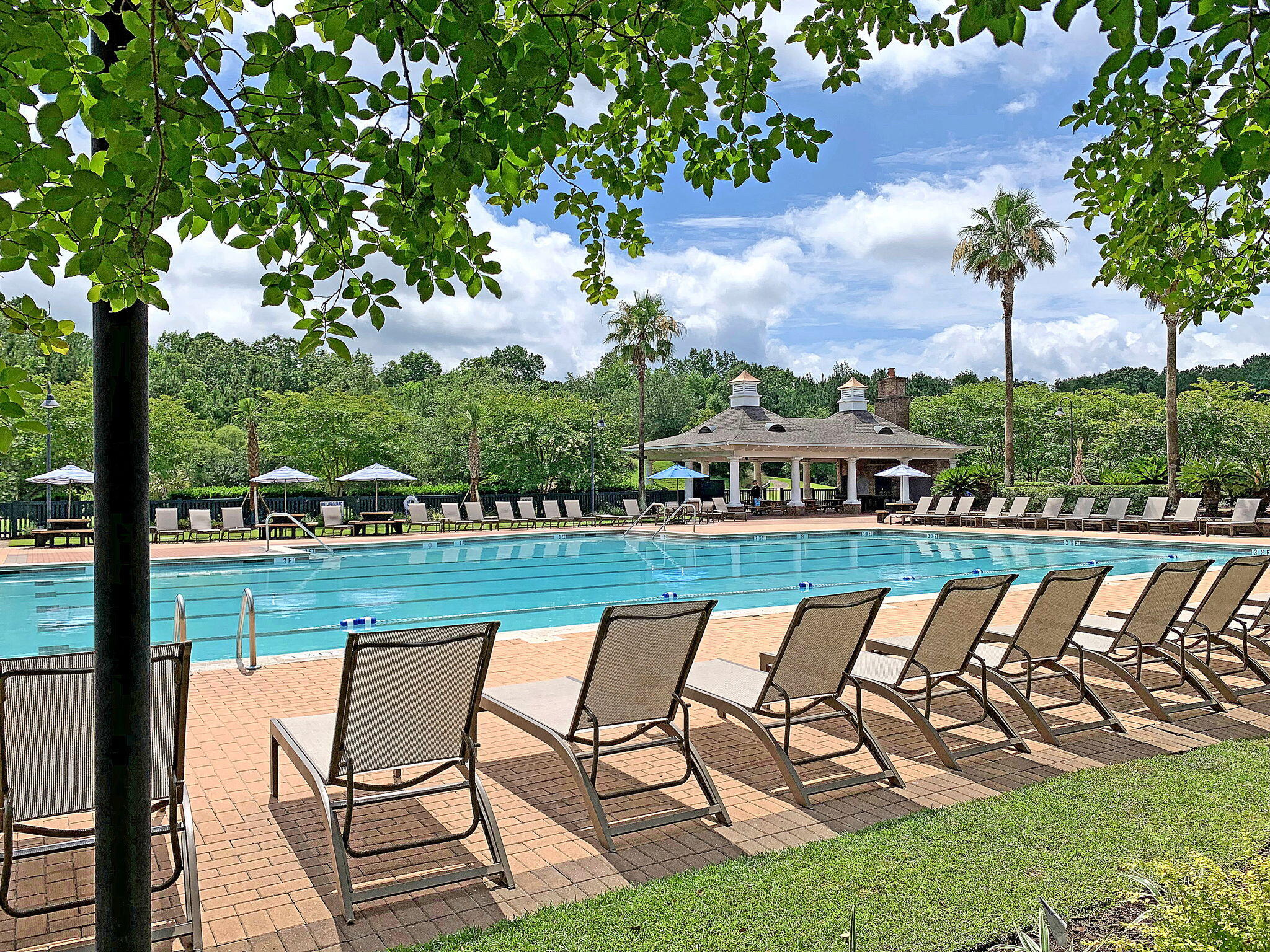 3117 Sonja Way