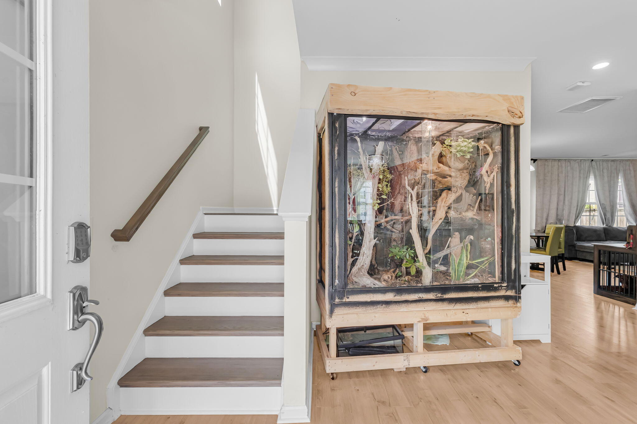 1009 Mossy Rock Drive