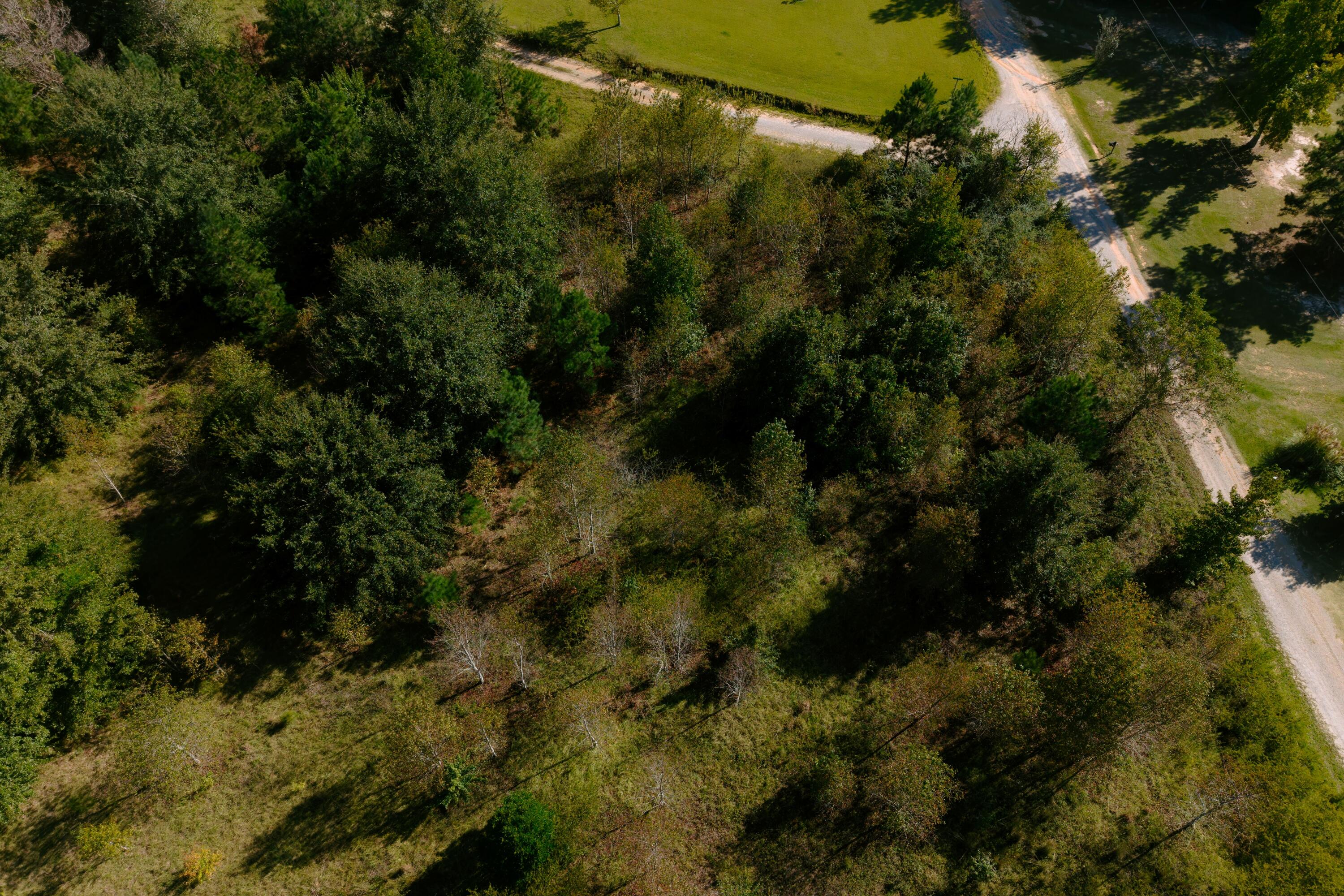 16 Dove Drive