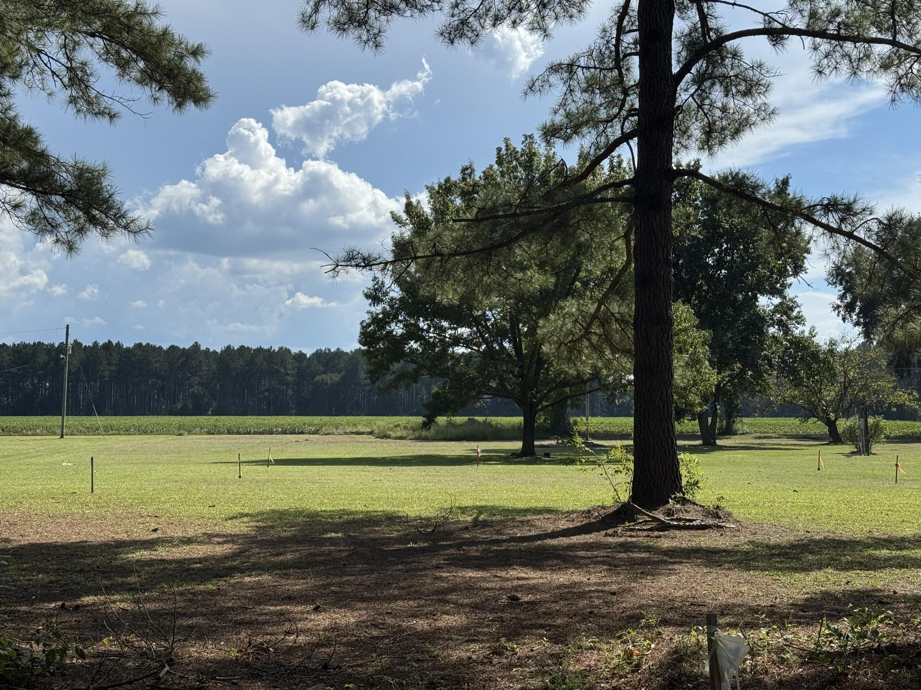 00 Caw Caw Swamp