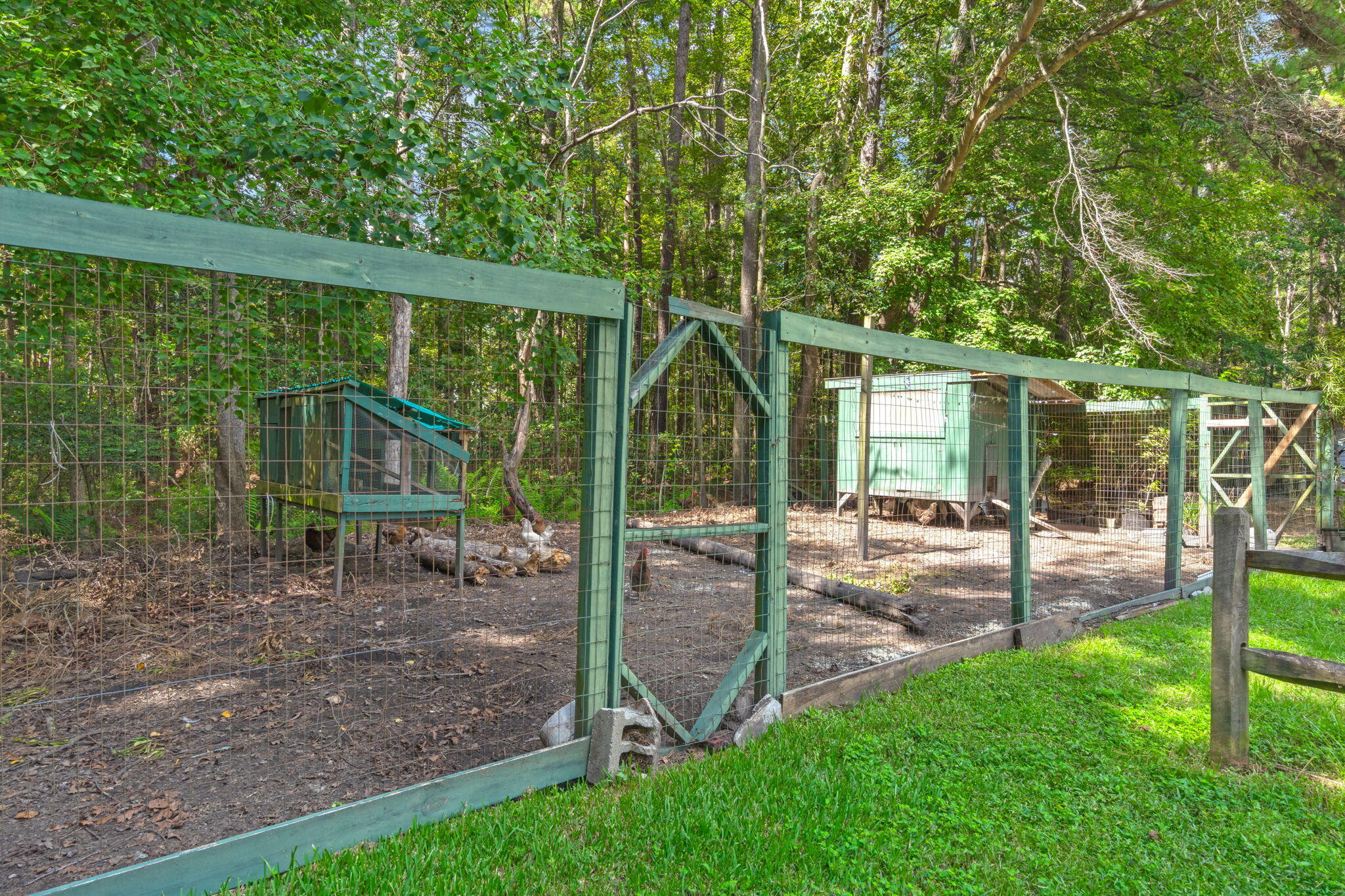 102 Caveson Drive
