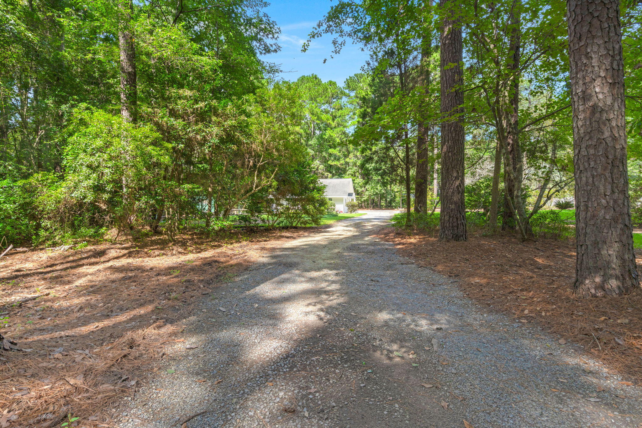 102 Caveson Drive