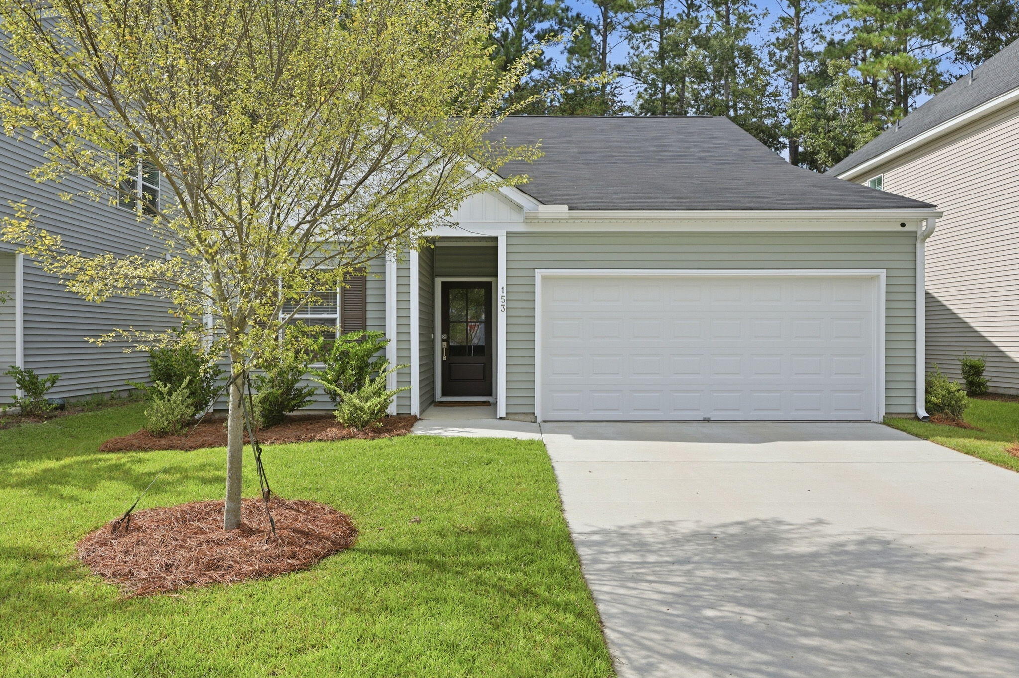 153 Casein Street