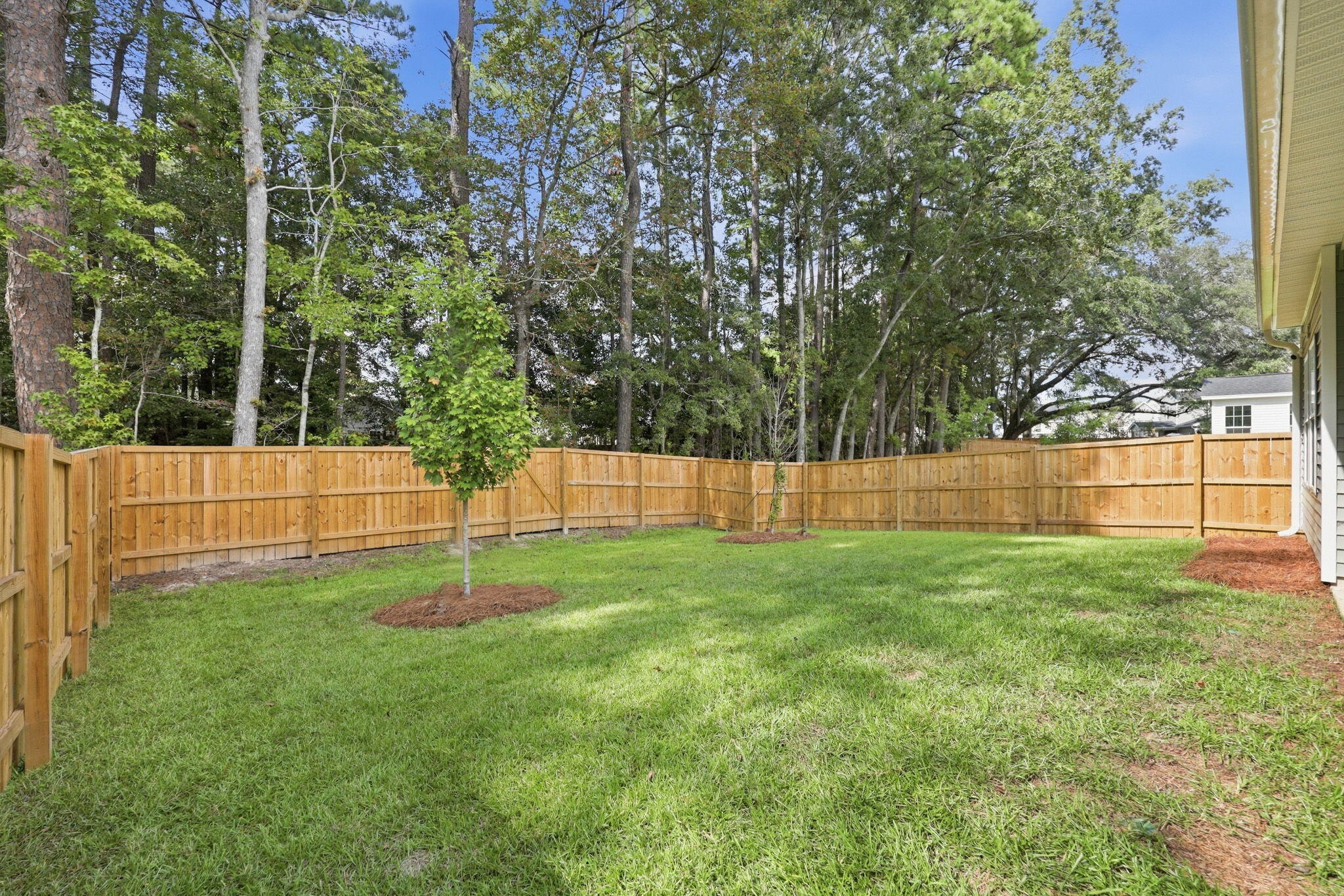 153 Casein Street