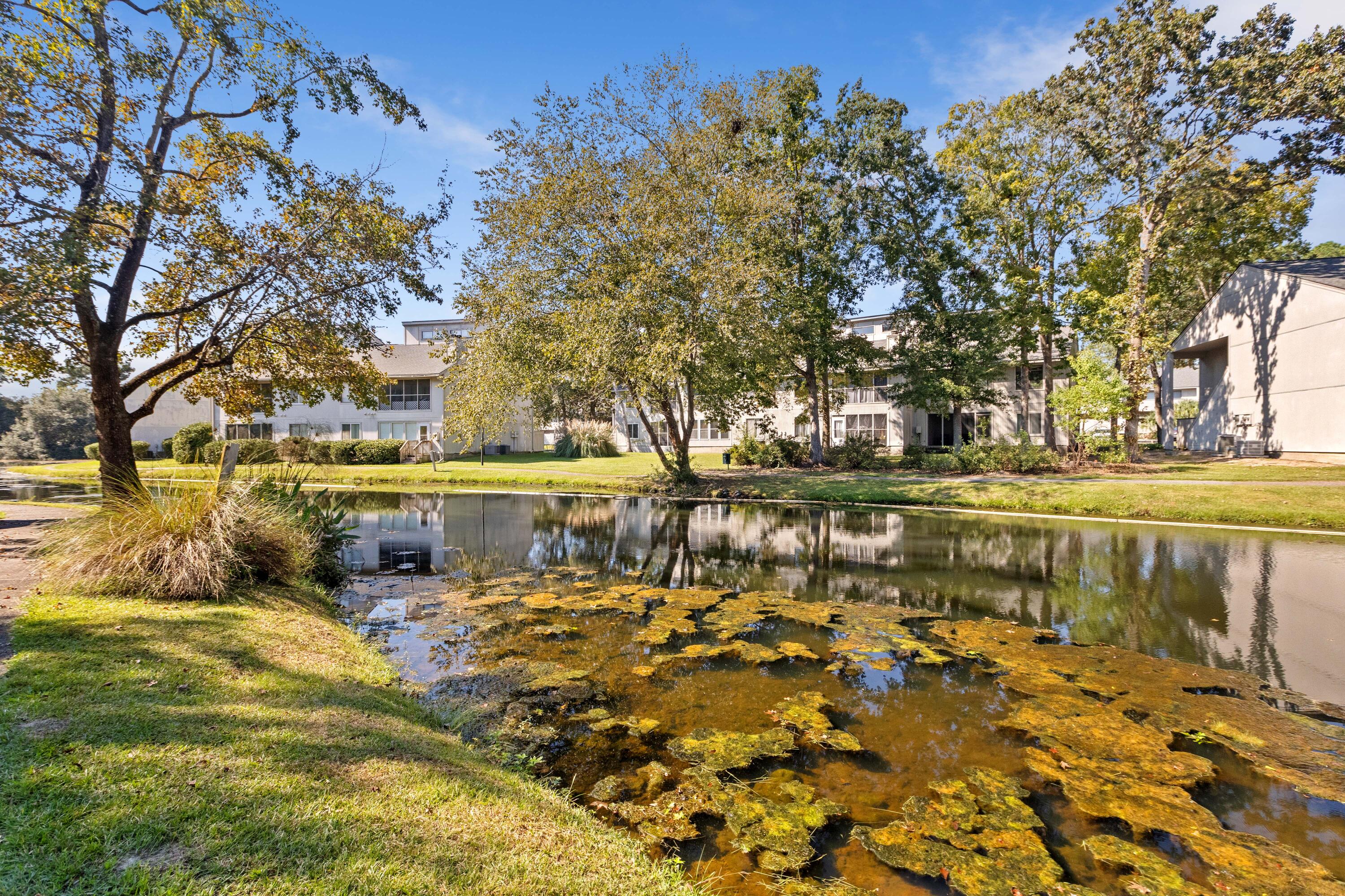 1005 Waterwood Drive