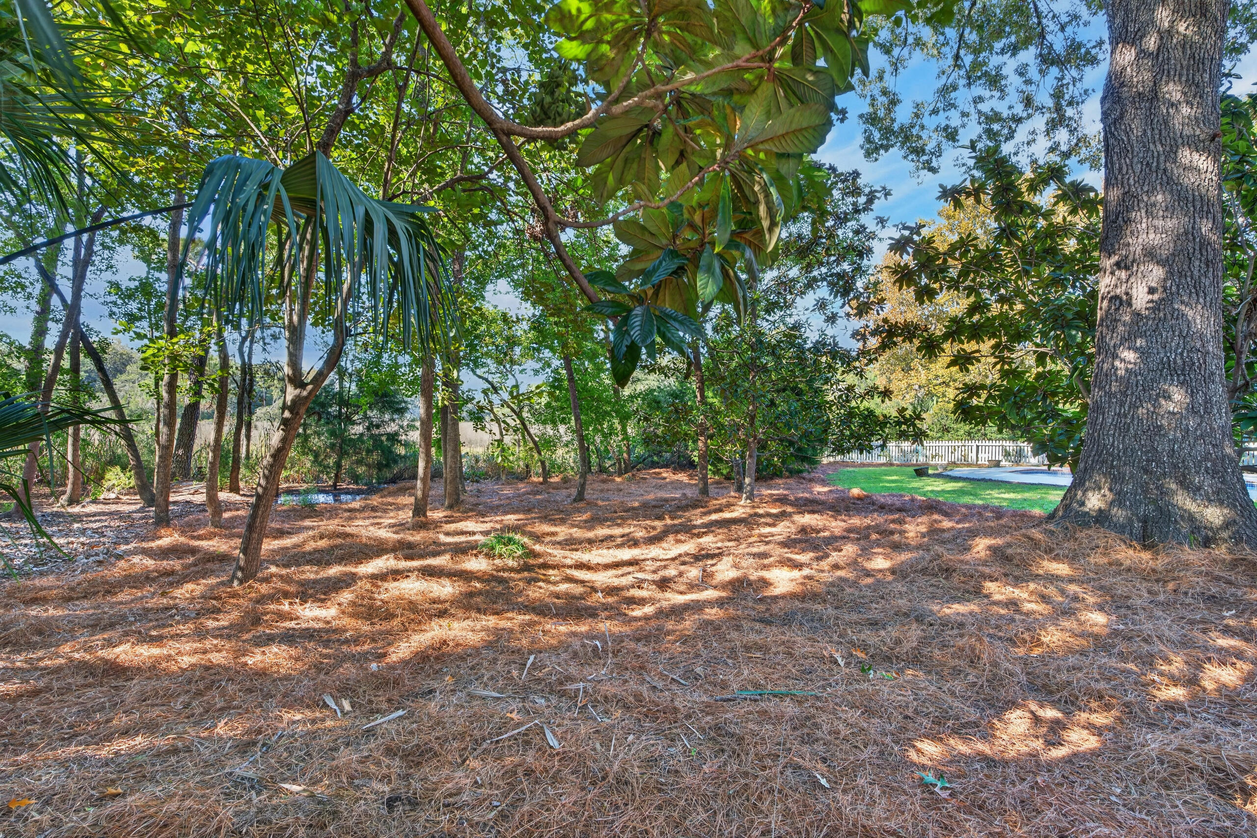 1635 Seignious Drive