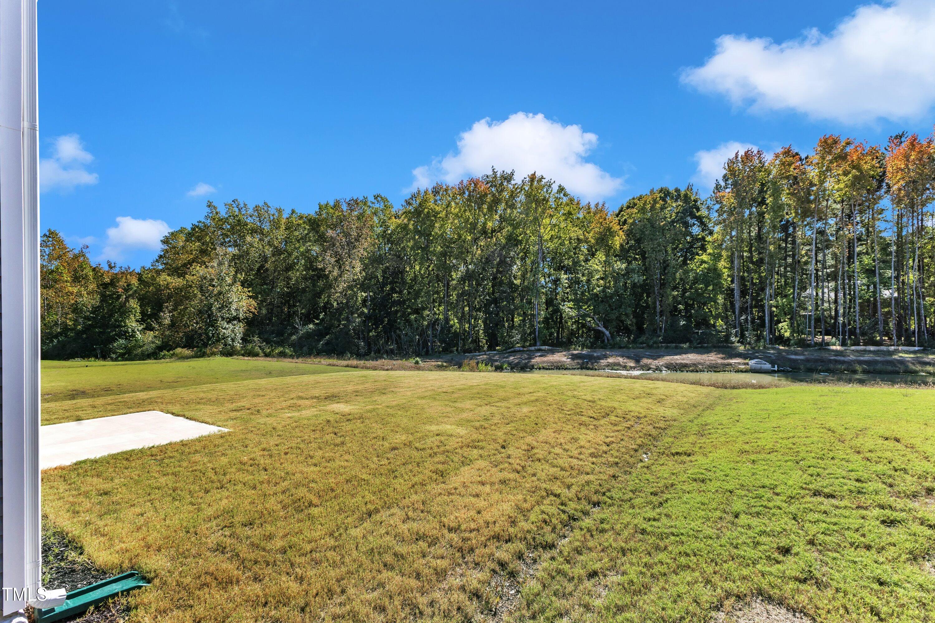 369 Golden Plum Lane
