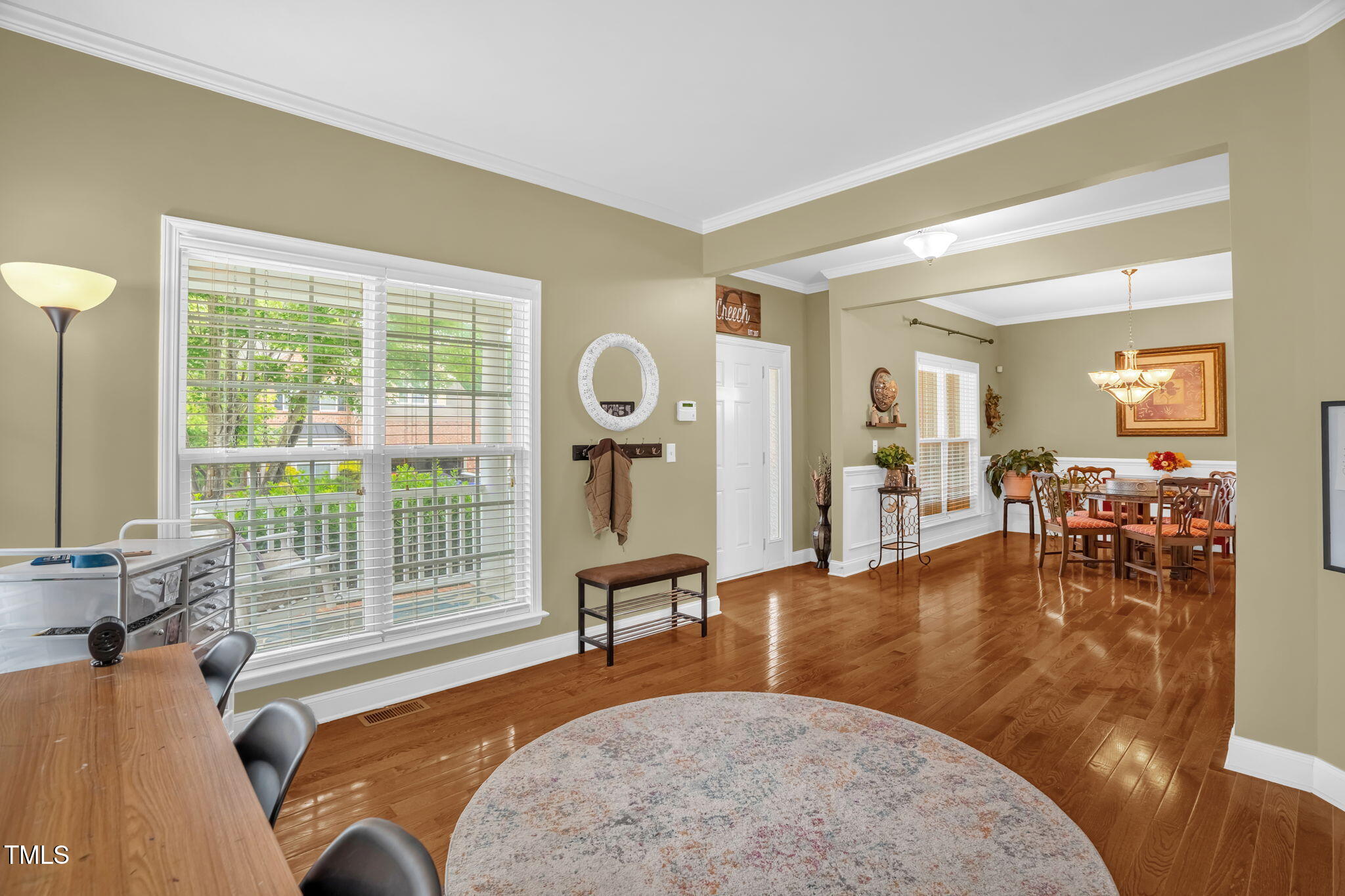 1428 White Opal Drive