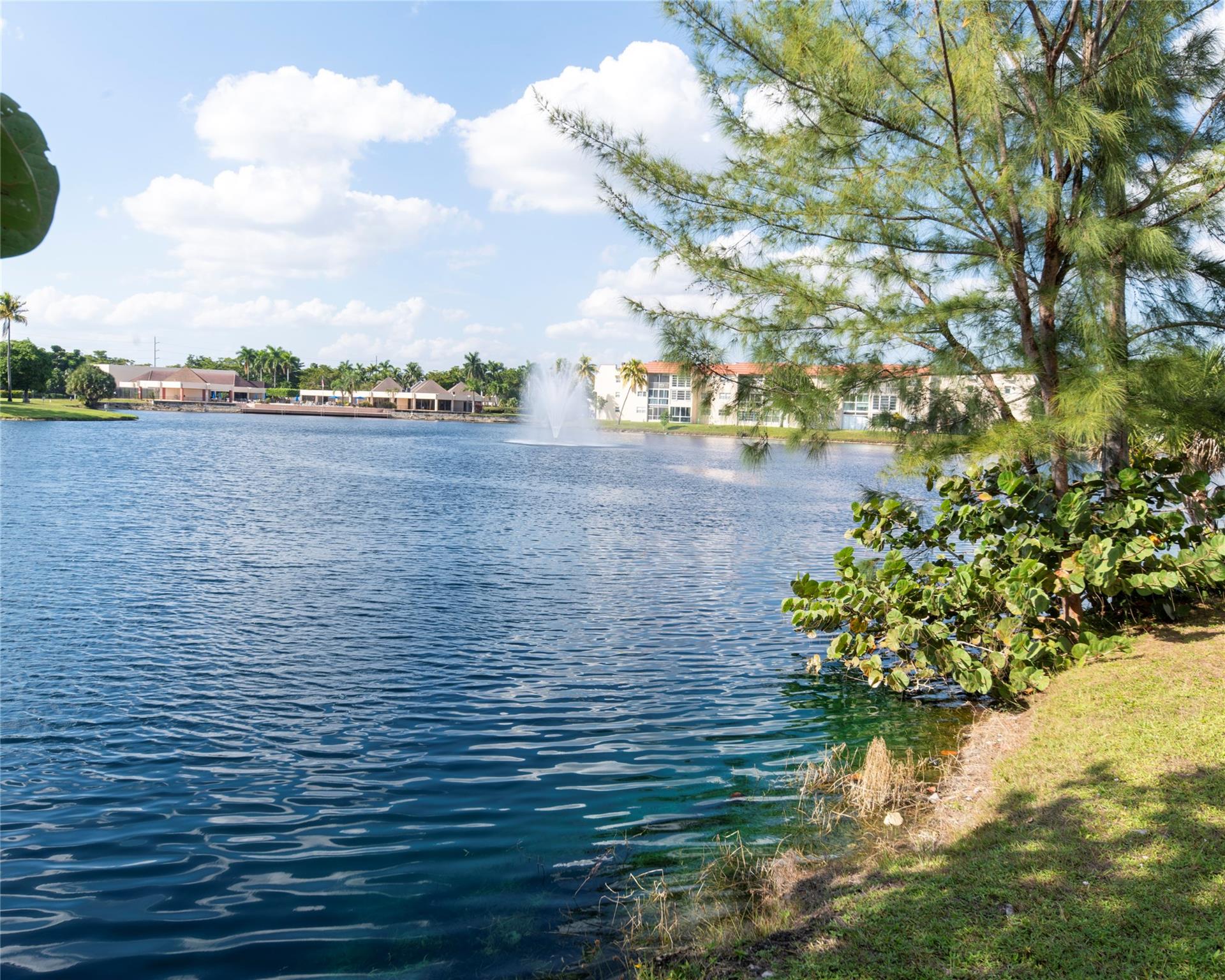 2871 E Sunrise lakes dr 212