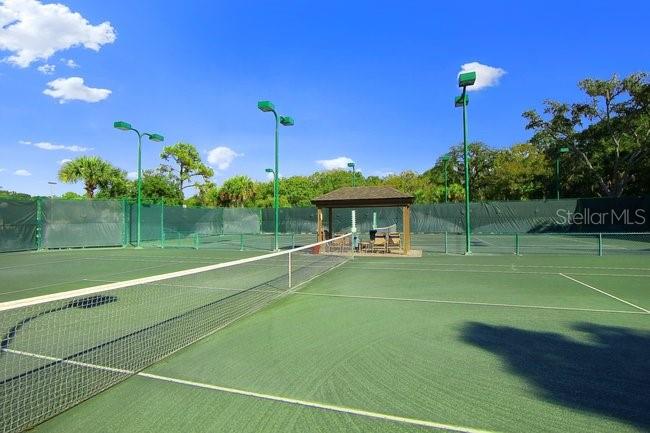 4574 RINGWOOD MEADOW #4