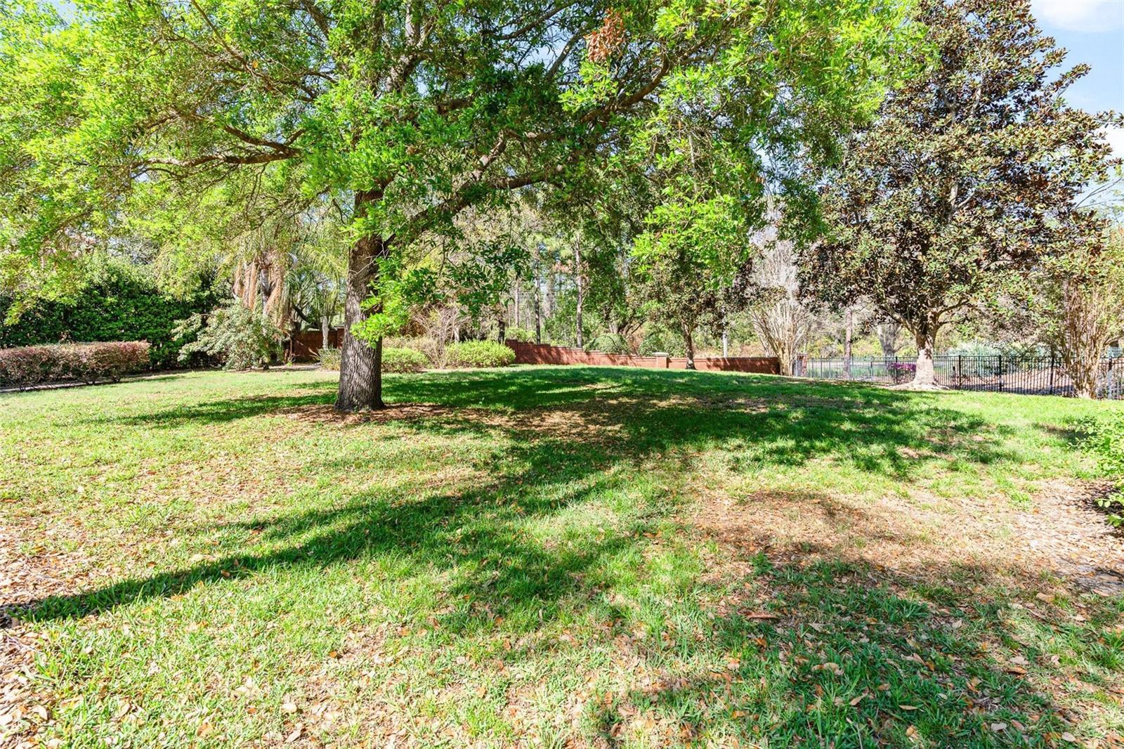 11952 CAMDEN PARK DR