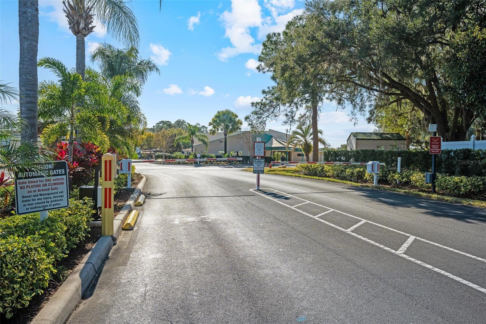 2411 CITRUS TREE RD
