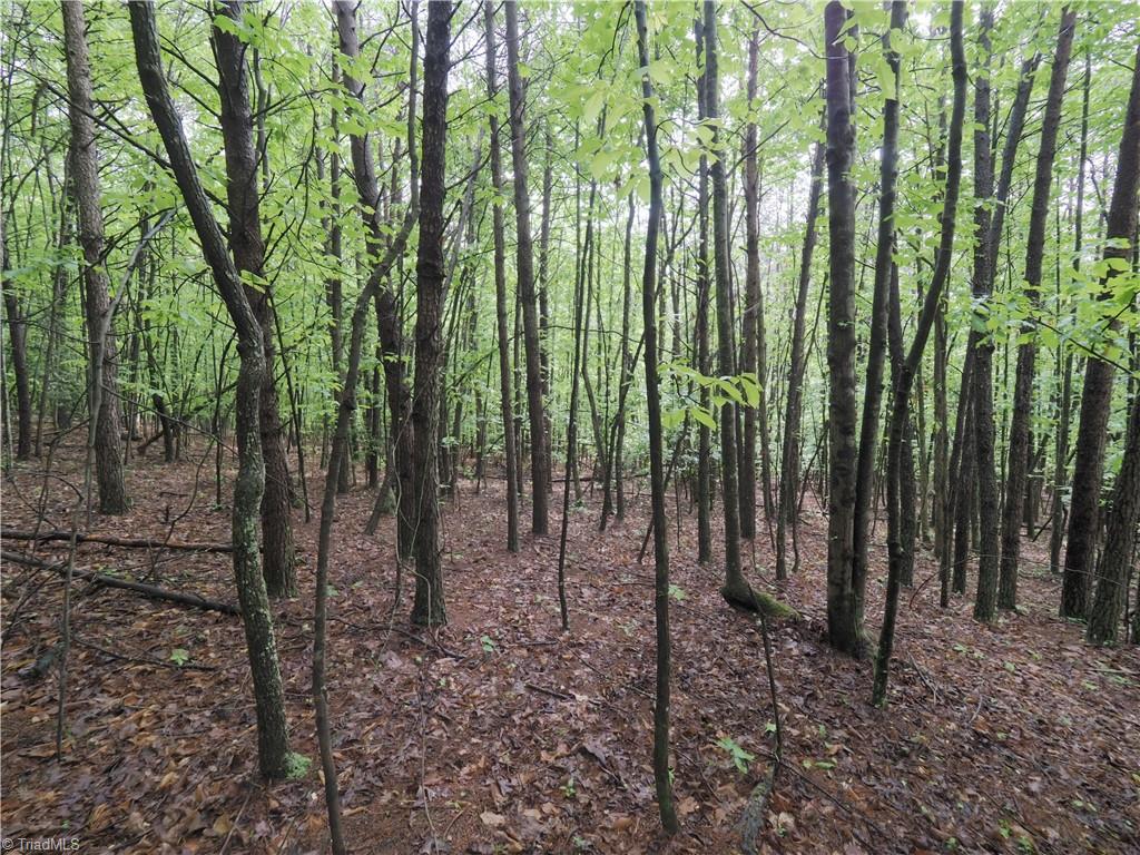 7AC Dearmin Road