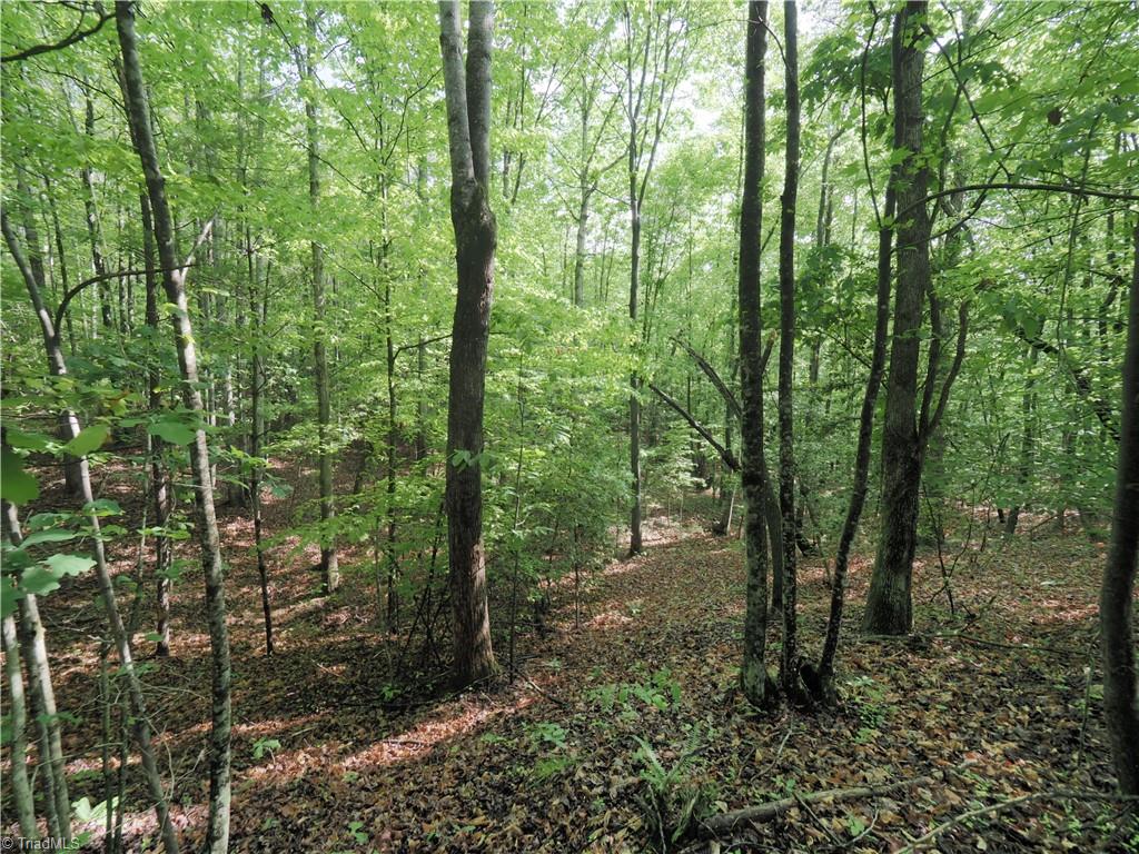 7AC Dearmin Road