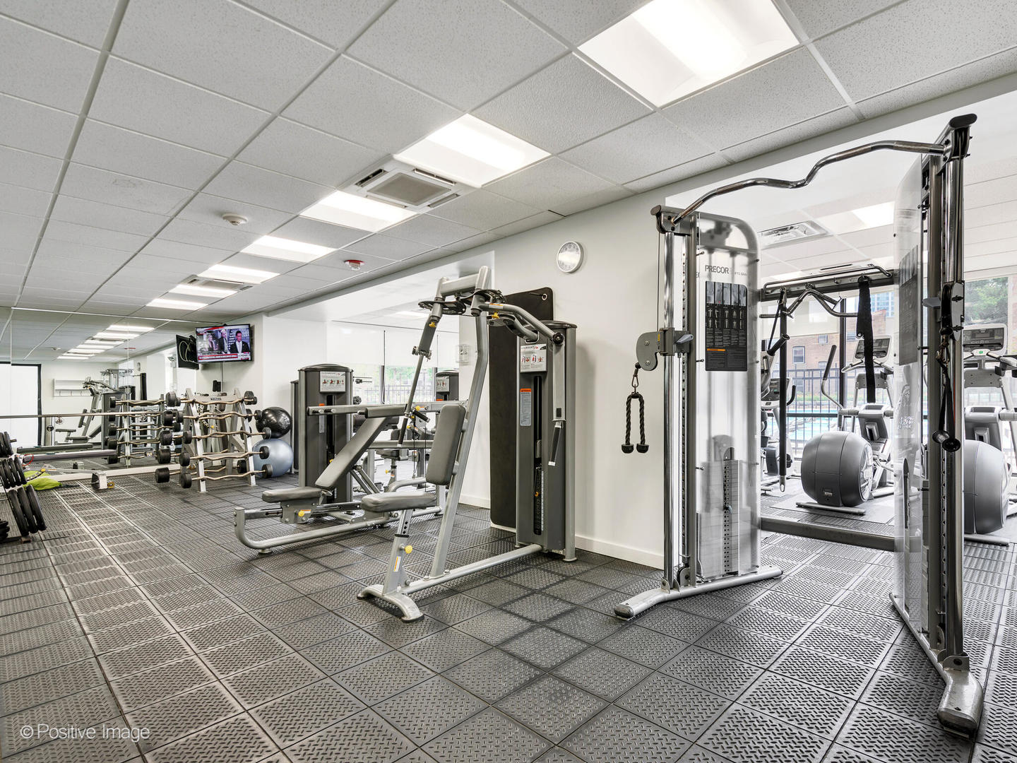 3930 N Pine Grove Avenue Unit: 3116