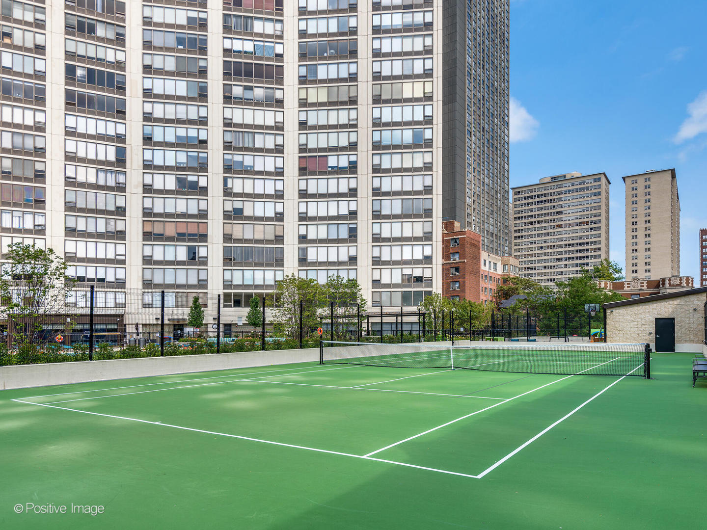 3930 N Pine Grove Avenue Unit: 3116
