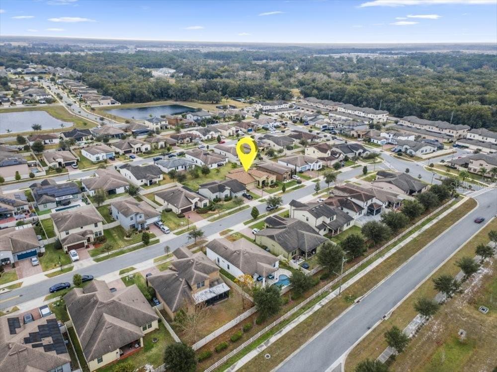 941 RIMINI DR