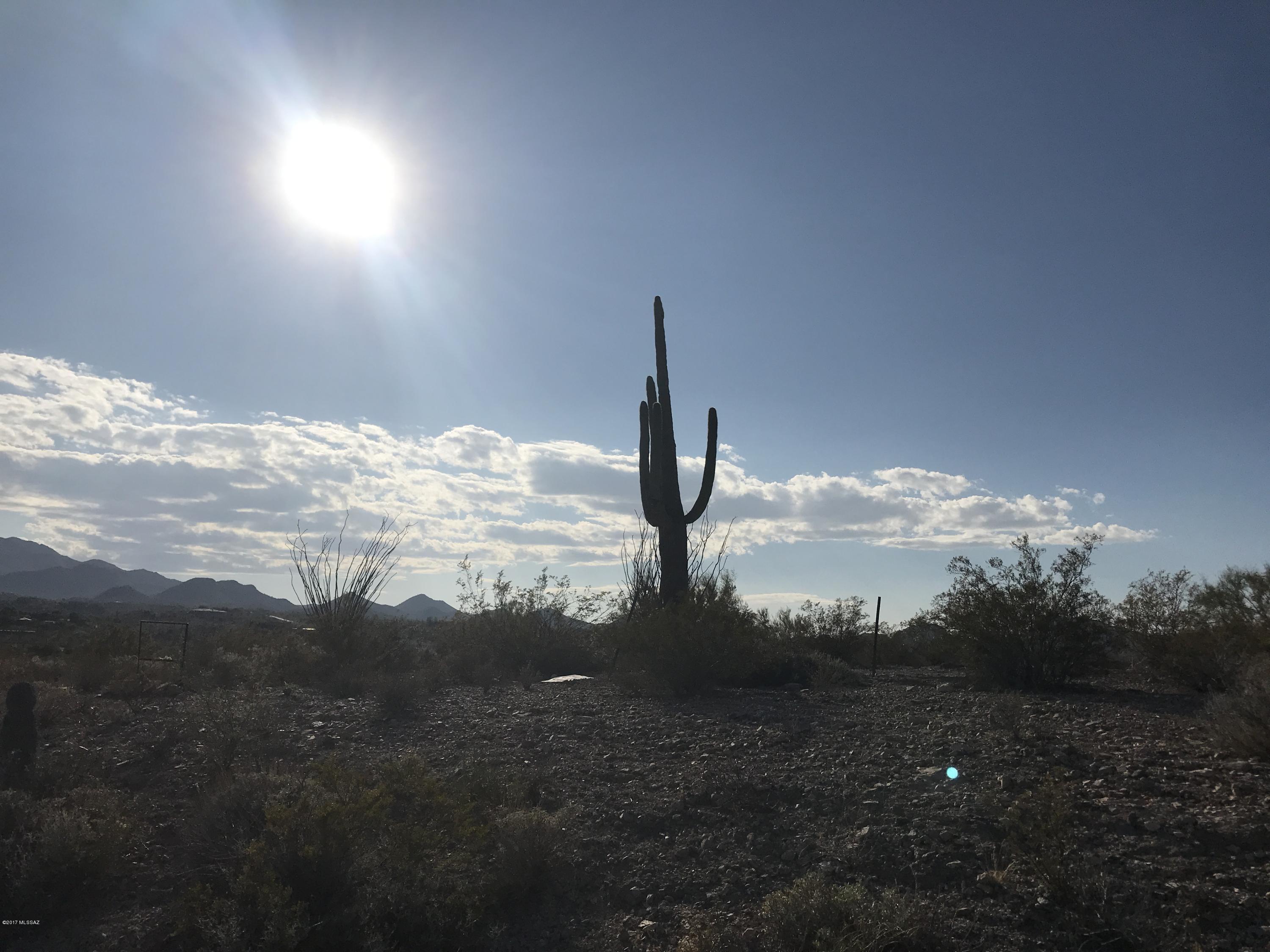 6085 Tucson Mountain Drive Unit: 68