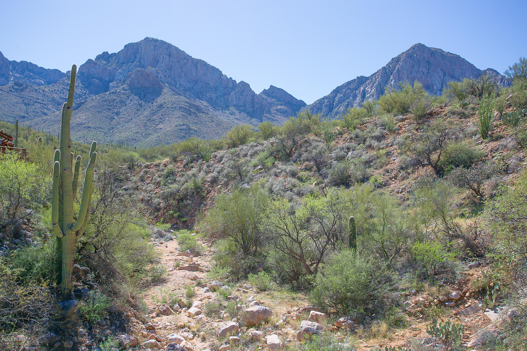 1791 Deer Hollow Loop
