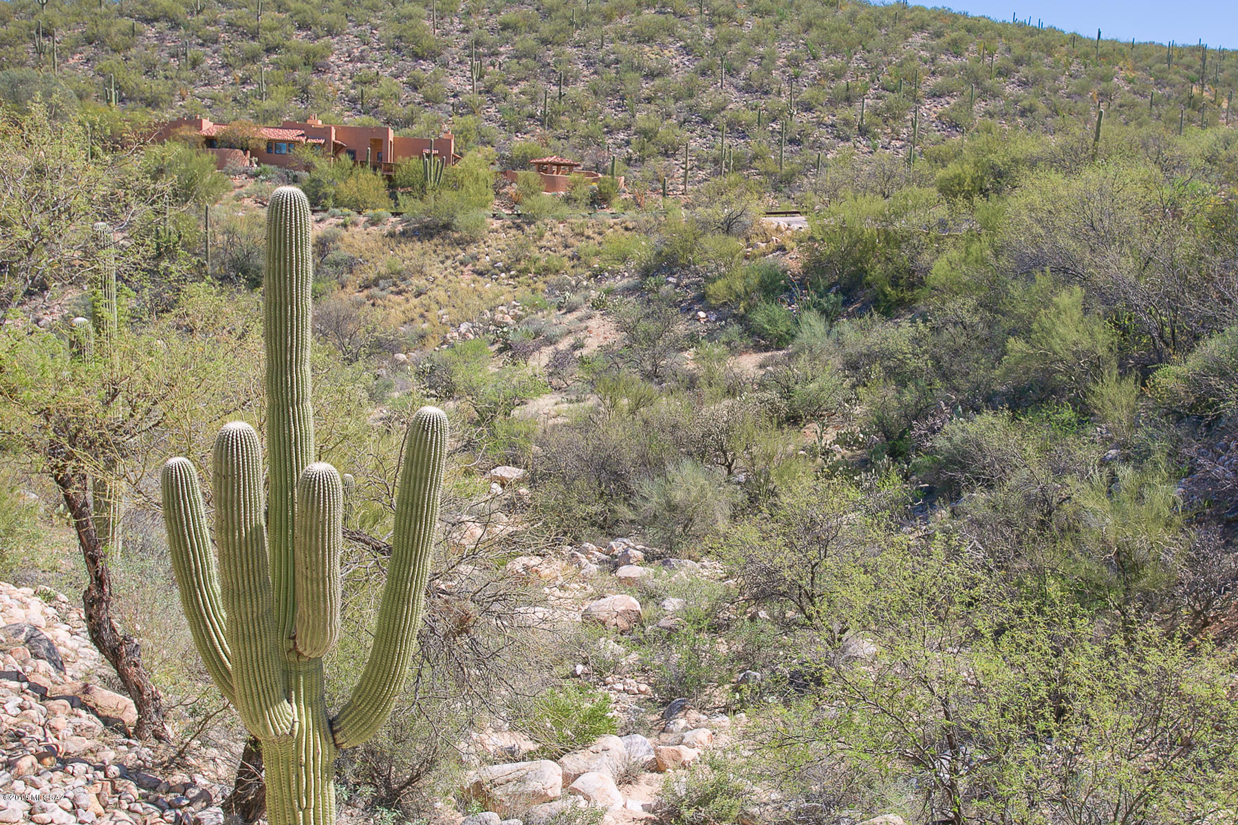 1791 Deer Hollow Loop