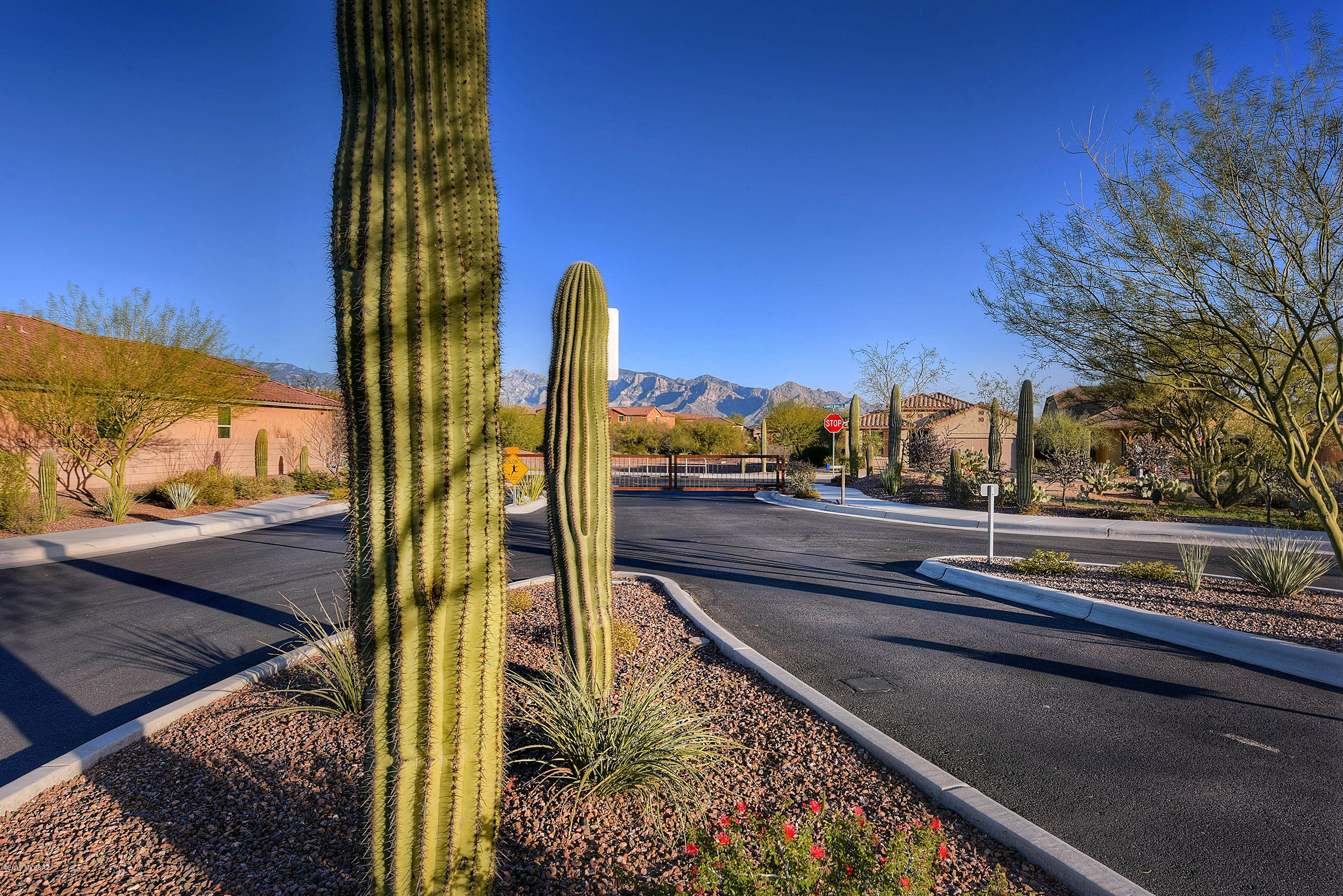 12392 N Summer Wind Drive