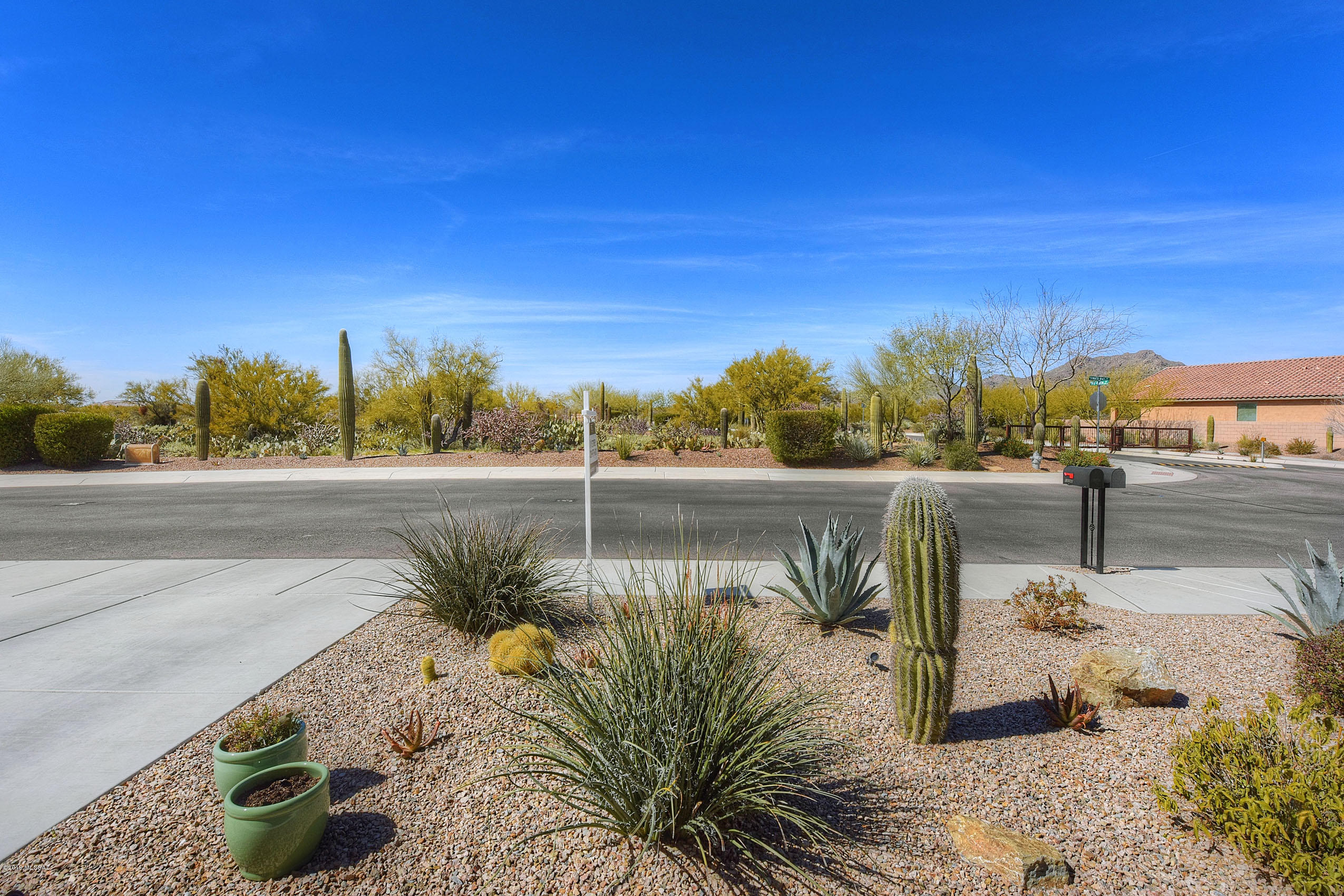 12392 N Summer Wind Drive